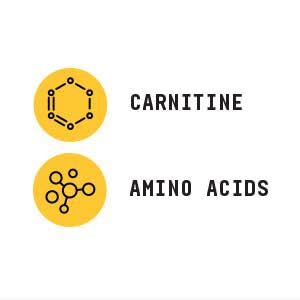Beyond Raw Chemistry Labs L-Carnitine Powder | Fuels Exercise and Supports Recovery | 30 Servings