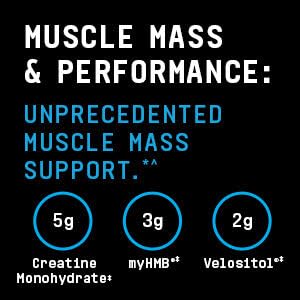 BEYOND RAW Dynamic Gainer | High-Tech Mass Gainer | Optimized Absorption, Enhanced Strength, and Joint Stability | Chocolate Éclair | 15 Servings