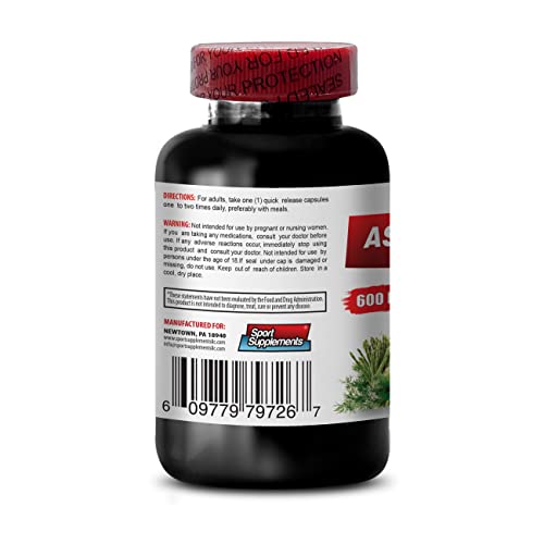Diuretic Pills - Asparagus 600 MG - Young Shoots Extract - Premium Dietary Supplement - antioxidant Supplement for Skin - Asparagus Extract, antioxidant Supplement, Asparagus Pills - 2B 120 Capsules