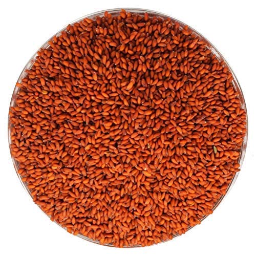 Zeeke Namo Organics 100% Organic Halim Garden Cress Aliv Seeds 900 Gm for Eating Organic and Weight Loss - (Super Saver Pack)