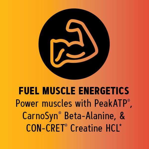 GNC AMP Tri-Phase Multi-Action Pre-Workout | Supports Muscle Performance & Endurance | Lemon Lime | 30 Servings