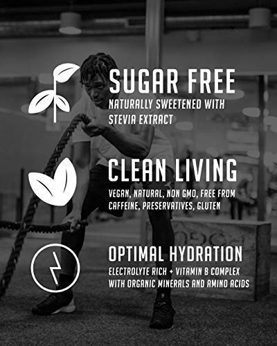 BIOSTEEL Hydration Mix, Sugar-Free with Essential Electrolytes, Mixed Berry, 16 Single Serving Packets