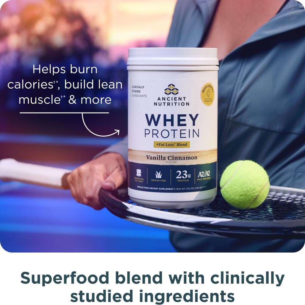 Ancient Nutrition Grass Fed Whey Protein + Fat Loss Blend, Vanilla Cinnamon, 23g Protein, Promotes Fat Loss and Boost Metabolism, Organic Regenerative A2/A2 Milk Protein,18 Servings