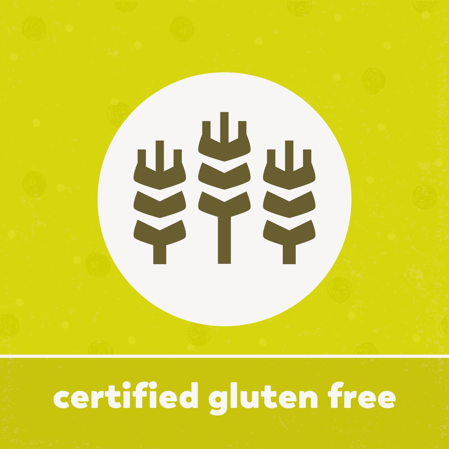 Yupik Hazelnut Meal 22 lb Kosher GlutenFree Vegan Filberts Raw Hazelnut Flour Nut Powder Unsalted Unroasted OilFree Source of Fiber Iron Perfect for Baking Cooking