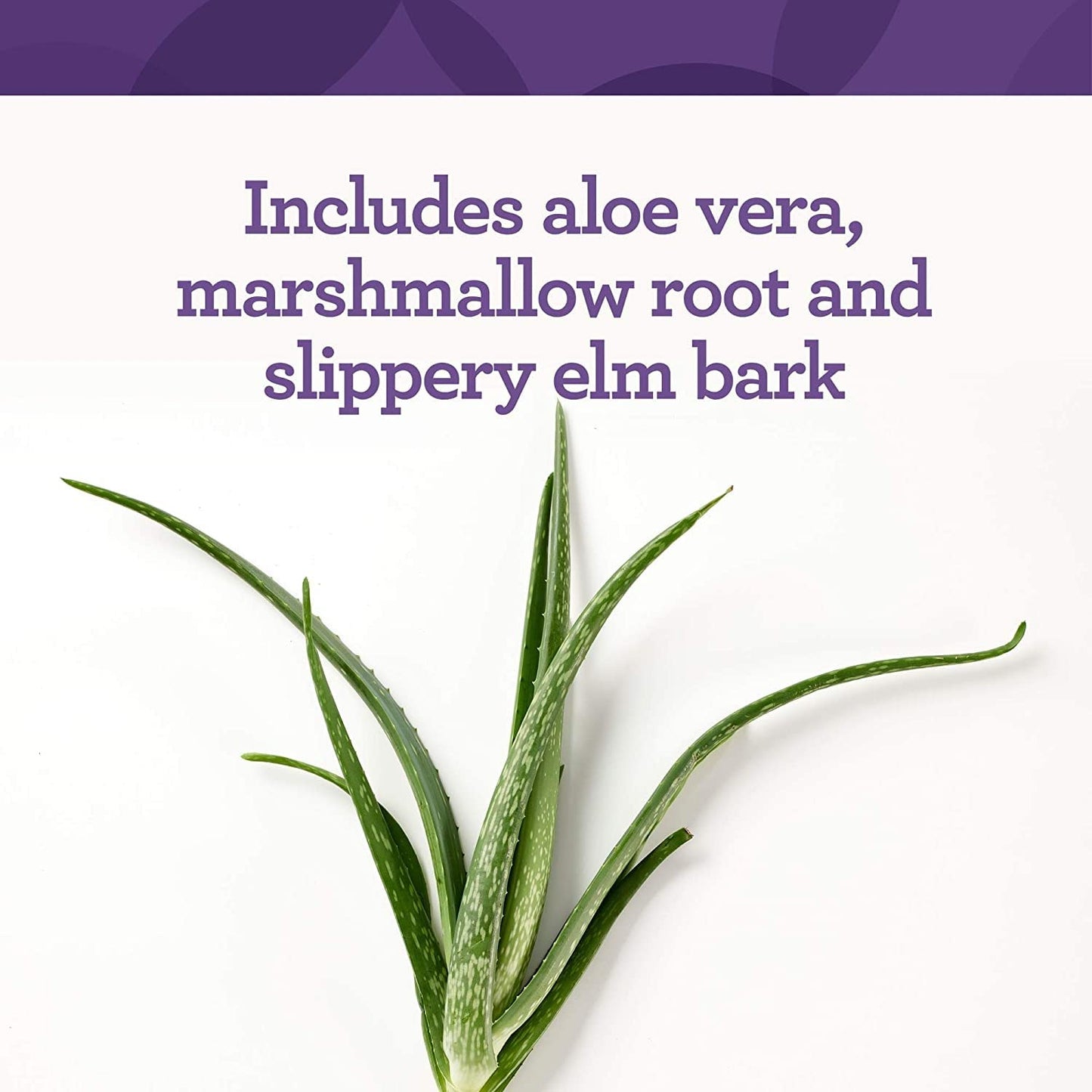 INNATE Response Formulas GI Response - Powdered Digestive Blend to Support Gastrointestinal Health - 5g Glutamine Per Serving - 30 Servings (228 Grams)