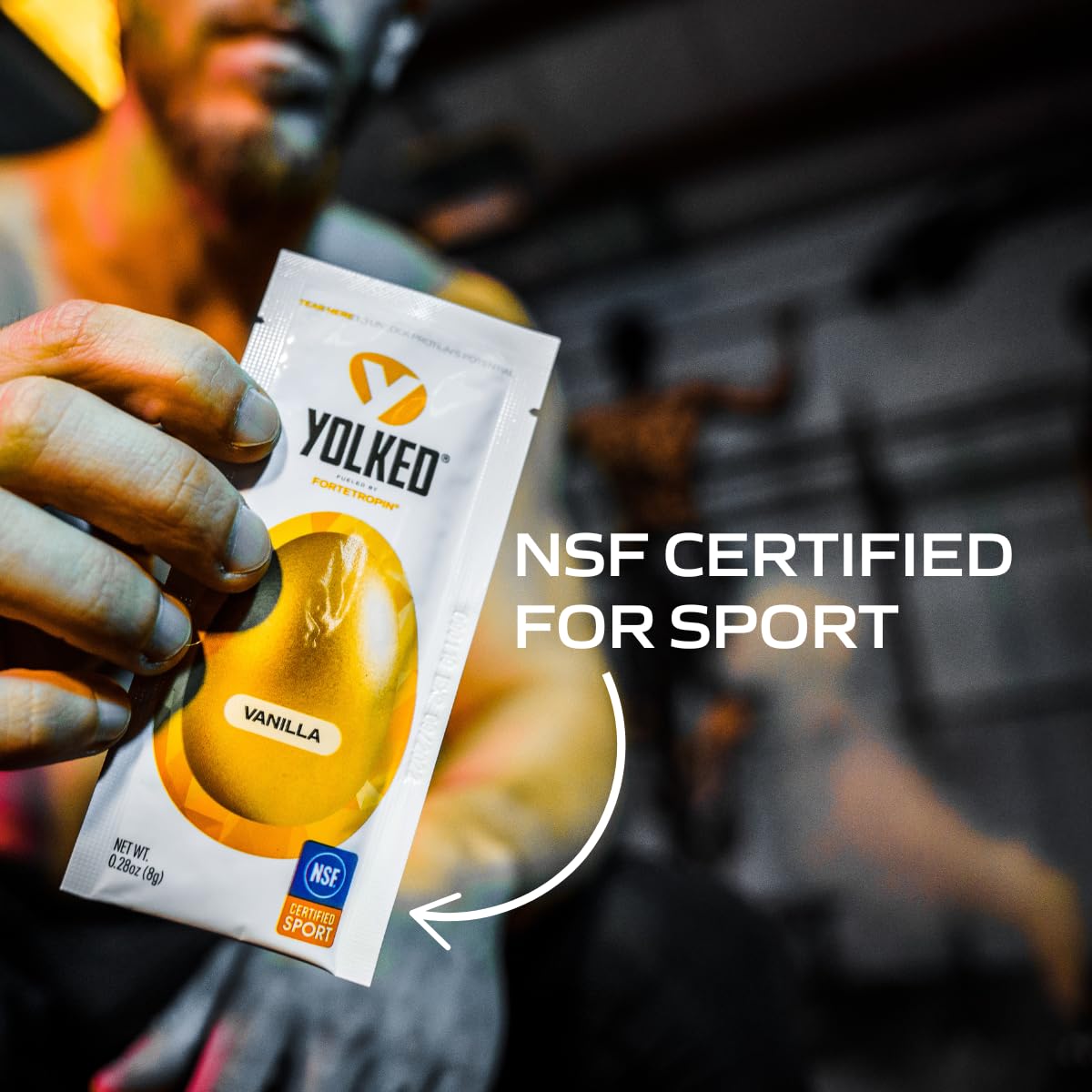 YOLKED - Clinically Tested and NSF-Certified All Natural Muscle Building Supplement - Increase Lean Muscle, Reduce Muscle Loss, and Improve Recovery with Protein’s Perfect Partner, 30 Servings