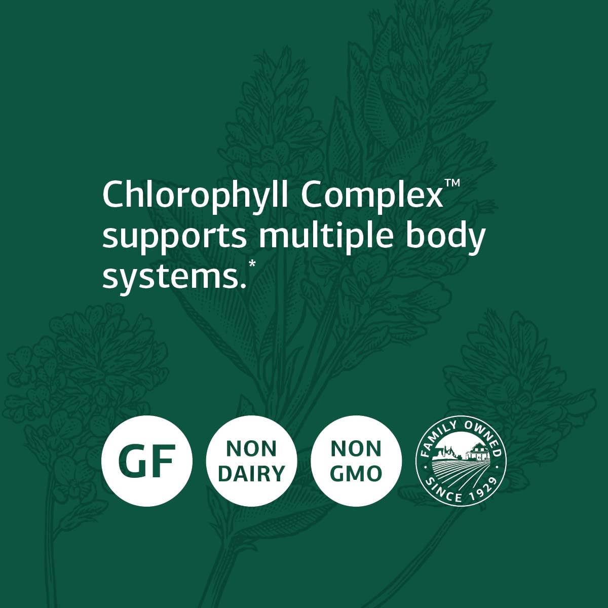 Standard Process Chlorophyll Complex - Immune Support, Antioxidant Activity, Skin Health and Hair Health Support with Vitamin A, Sunflower Lecithin, Buckwheat, Spanish Moss, and More - 240 Softgels