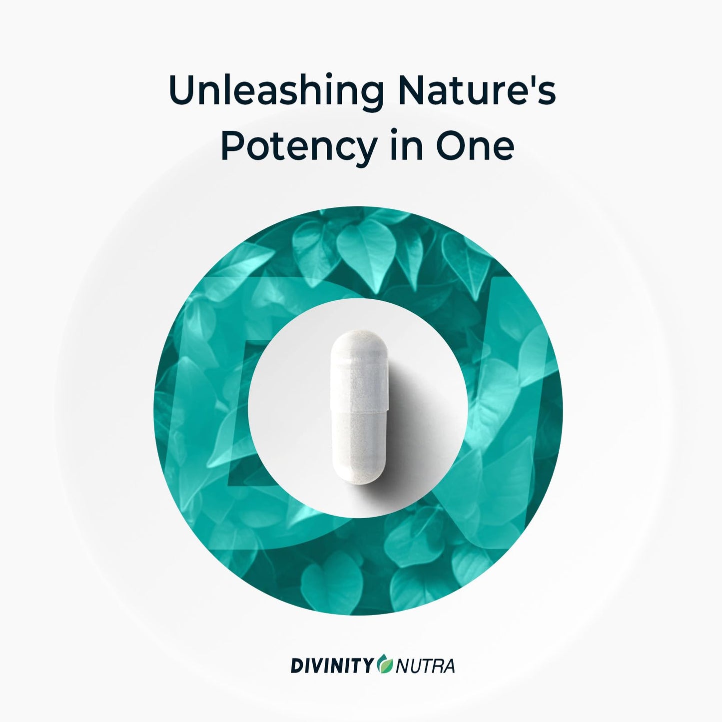 Divinity Nutra Chitosan Supplement with Chitosan Vitamin C Supplement for for Women & Men.Made in USA 60 Tablets Non-GMO Soyfree