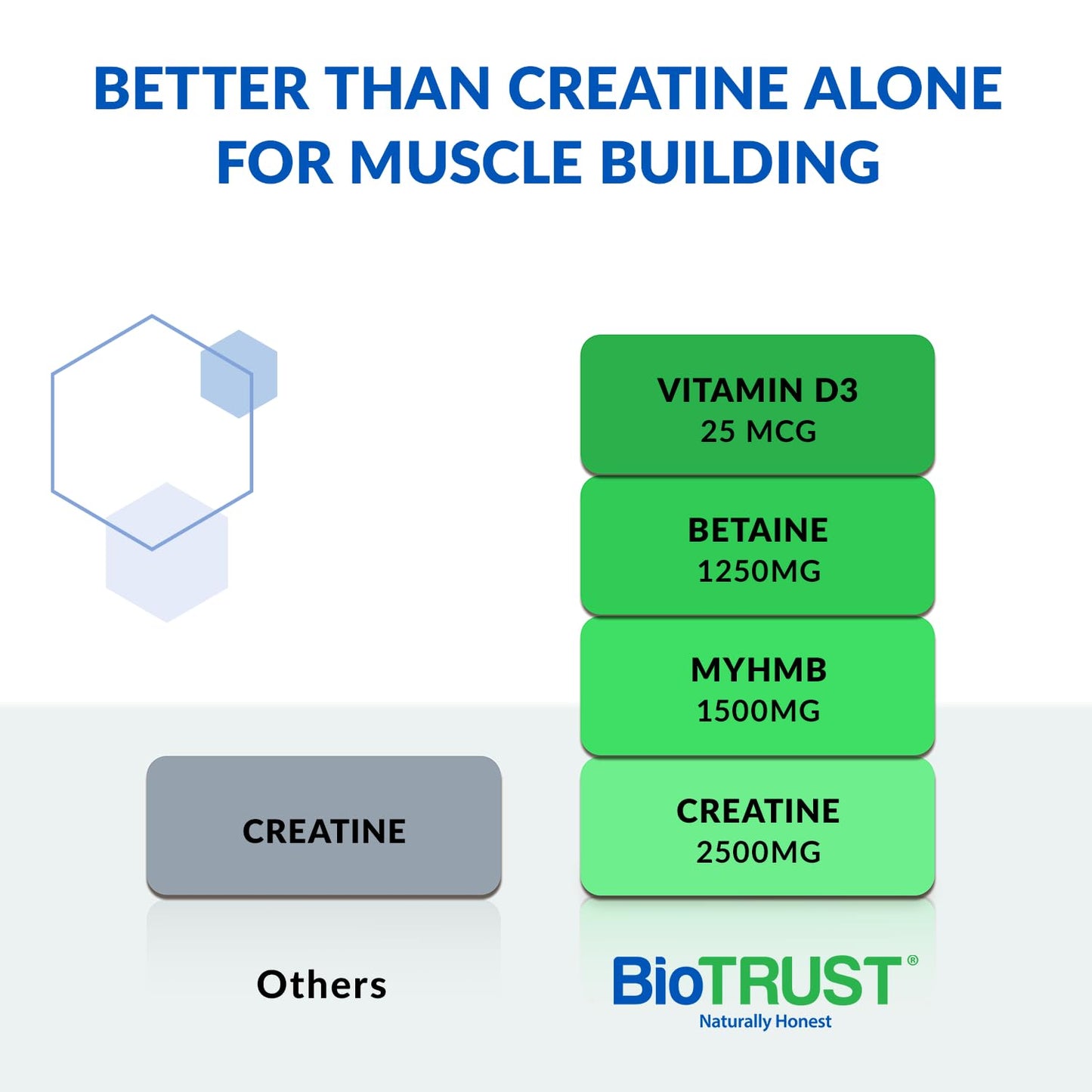 BioTrust Ageless Muscle Builder - Creatine HMB Powder with Vitamin D3 & Betaine - Build & Preserve Naturally Declining Muscle Mass & Strength - Fruit Punch, 30 Servings
