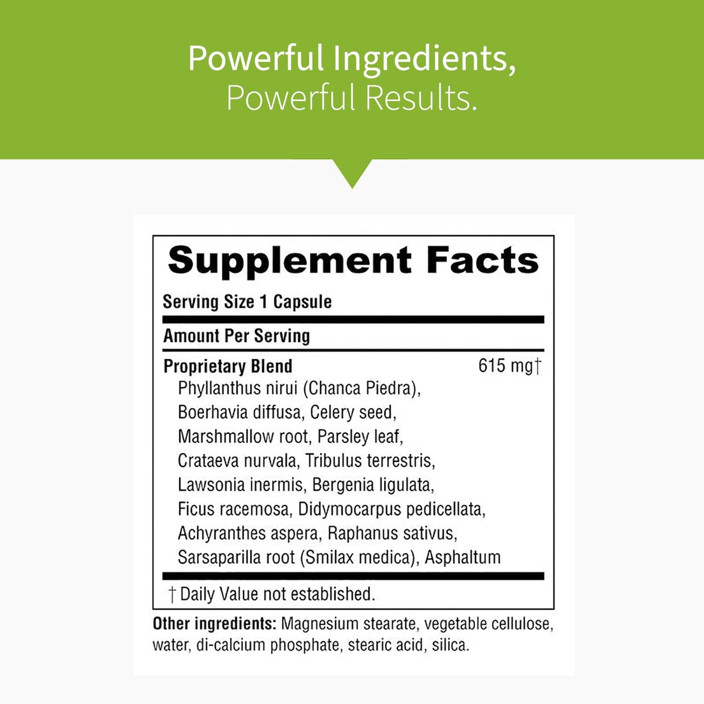 Renavive - Natural Kidney Cleanse | Eliminate & Protect Against Stones | Flush Impurities & Clear System | Support Kidney Health & Function | Chanca Piedra, Celery & More | 60 Capsules - 3 Pack