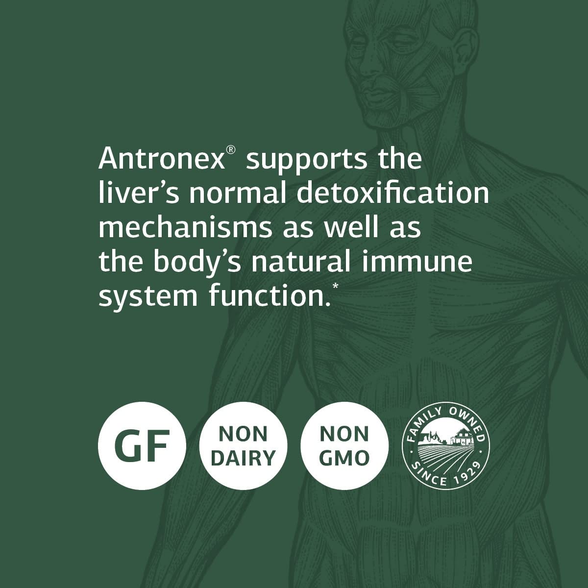 Standard Process Antronex - Whole Food Immune System Support and Liver Health Supplement with Calcium - 330 Tablets