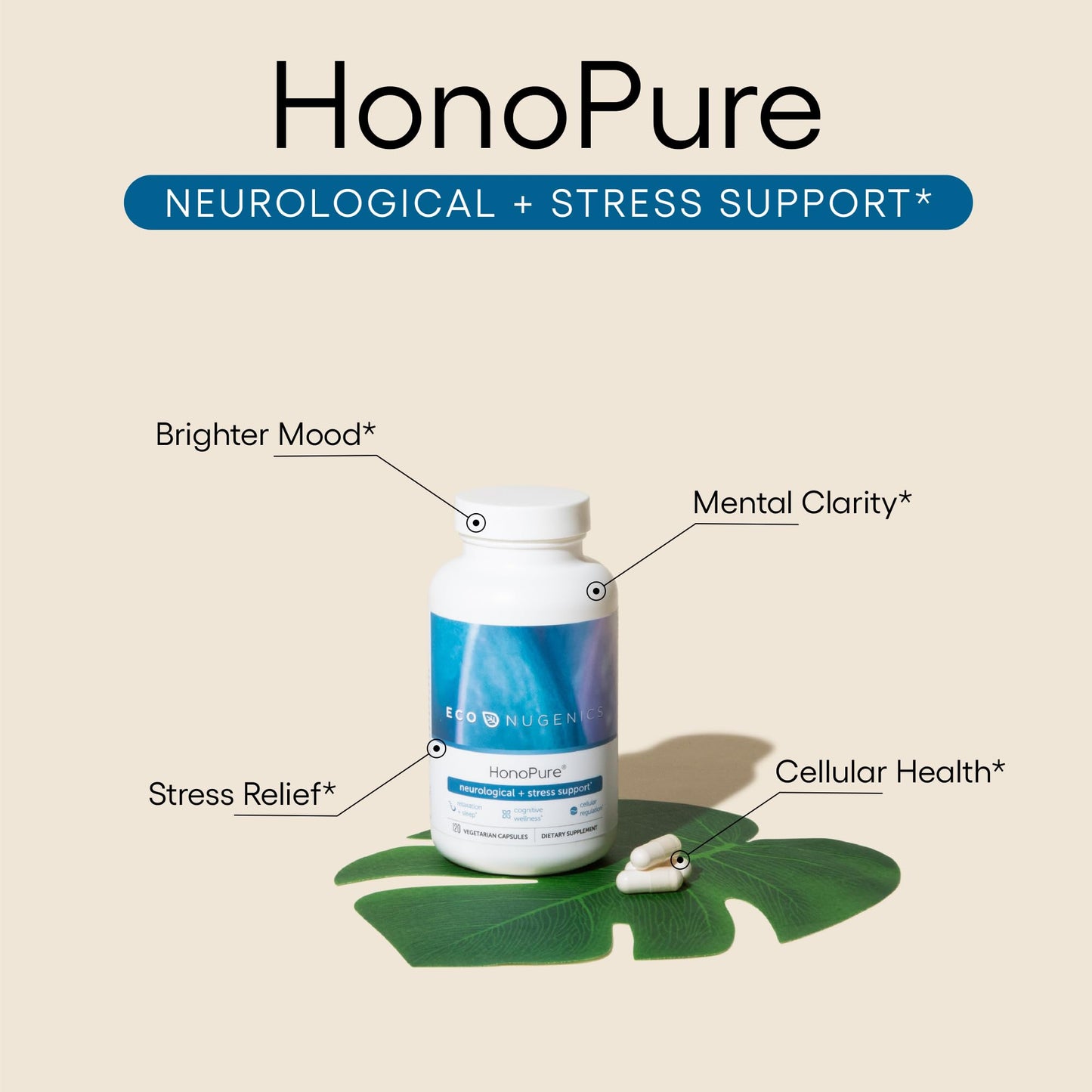ecoNugenics Brain Health Supplement Bundle - PectaSol Modified Citrus Pectin Fiber + HonoPure Magnolia Bark Extract - Nootropic Pack for Sleep, Stress Relief, Cognitive Function, GABA Support