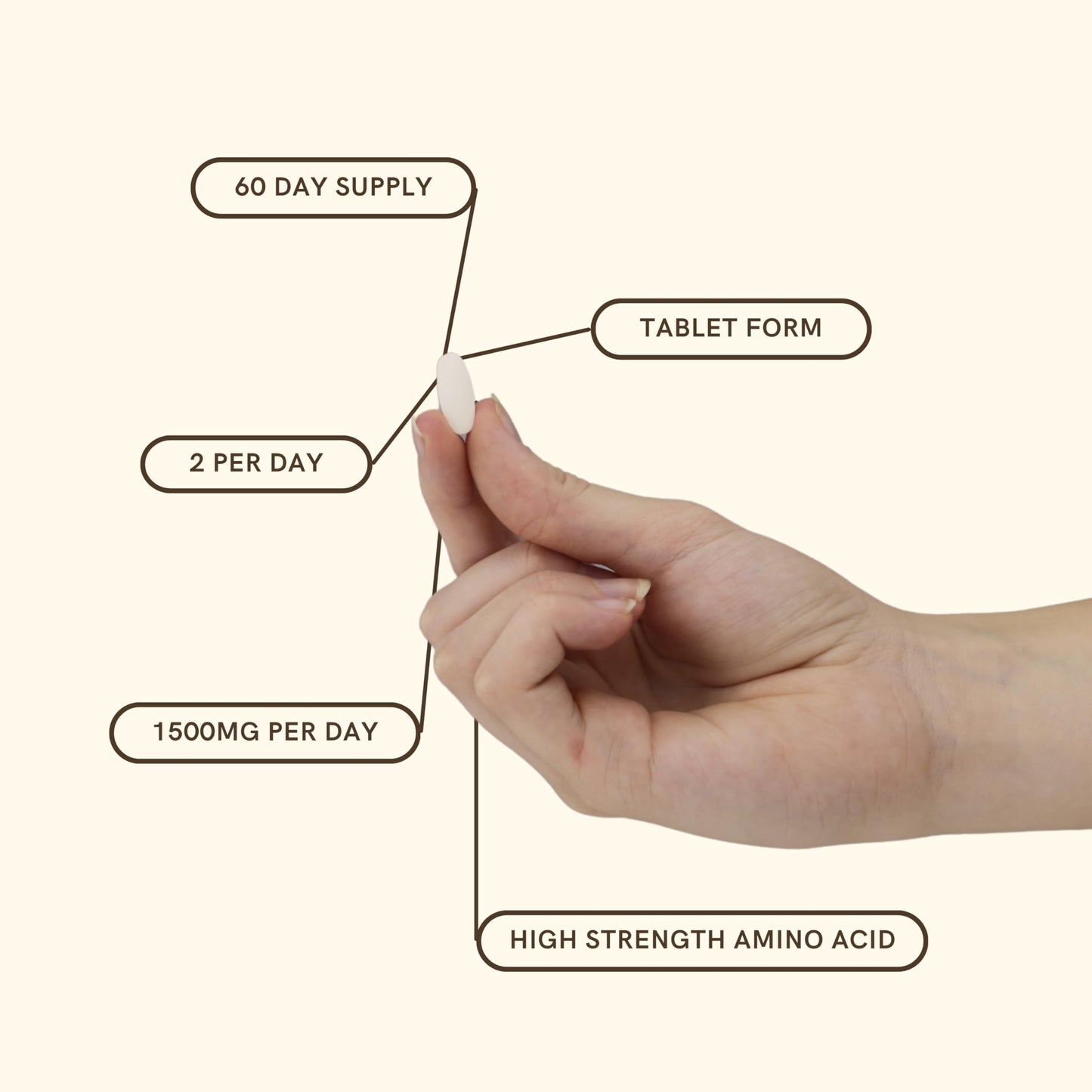 Herstat L-Lysine 1500mg | High Potency Essential Amino Acid, Vegetable Capsules, 120ct