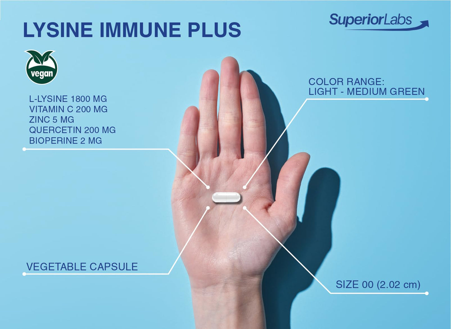 Superior Labs Lysine Immune Plus - Lip. Clinically Proven Lip Health & Support. L-Lysine Bound to HCI for Optimal Stability & Absorption for Fast Results. Bioactive with Zero Harmful Additives