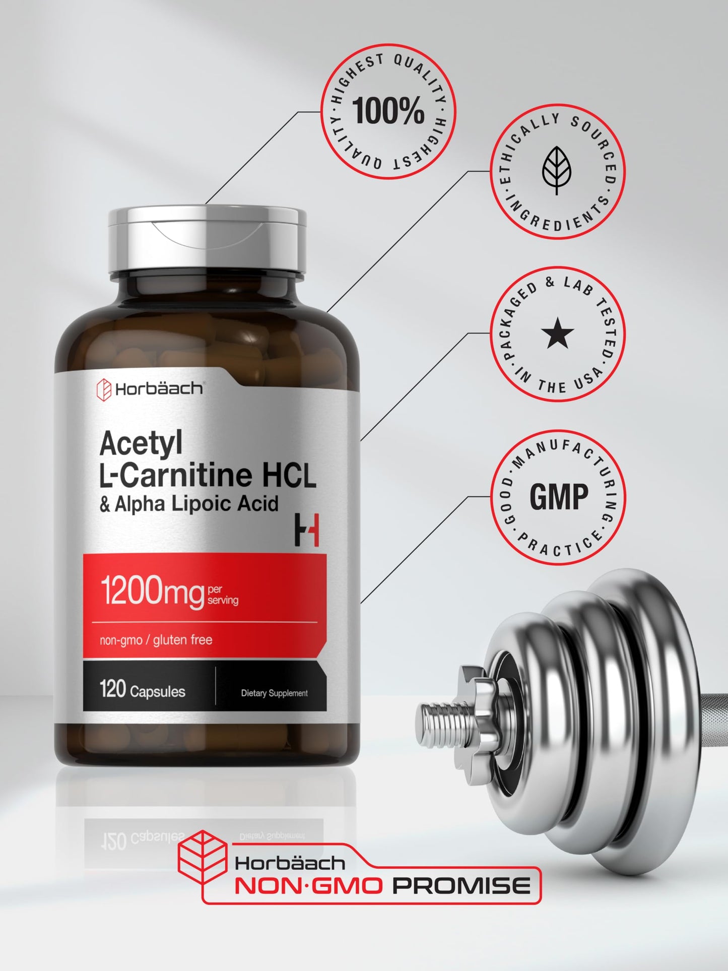 Horbäach Acetyl L Carnitine HCL & Alpha Lipoic Acid 1200mg | 120 Capsules | ALC ALA Complex | Non-GMO & Gluten Free Supplement