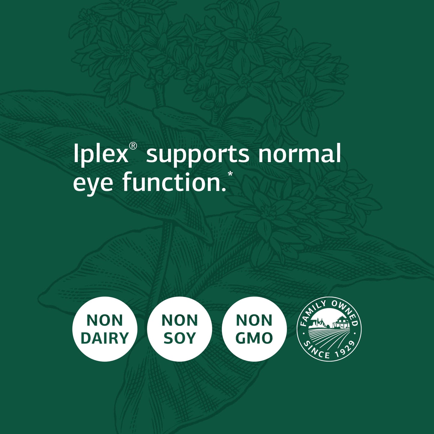 Standard Process Inc. Iplex - Whole Food Vascular Supplement, Eye Health and Eye Support with Shiitake Mushroom, Phosphoric Acid, Rice Bran, Organic Carrot, Arrowroot Flour, Alfalfa - 150 Capsules