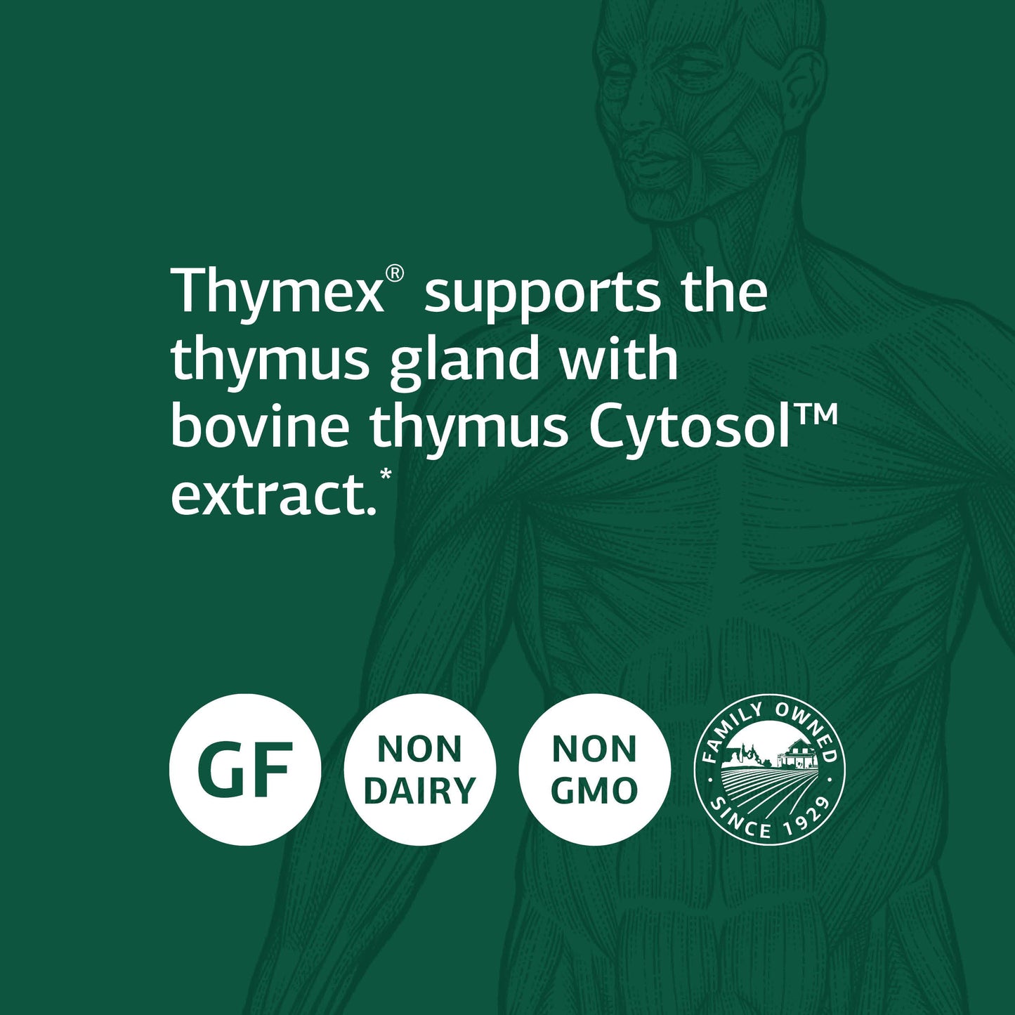 Standard Process Inc. Thymex - Whole Food Cholesterol, Thymus Supplement and Immune Support Supplement with Vitamin C, Magnesium Citrate, and Calcium Lactate - Gluten Free - 90 Tablets
