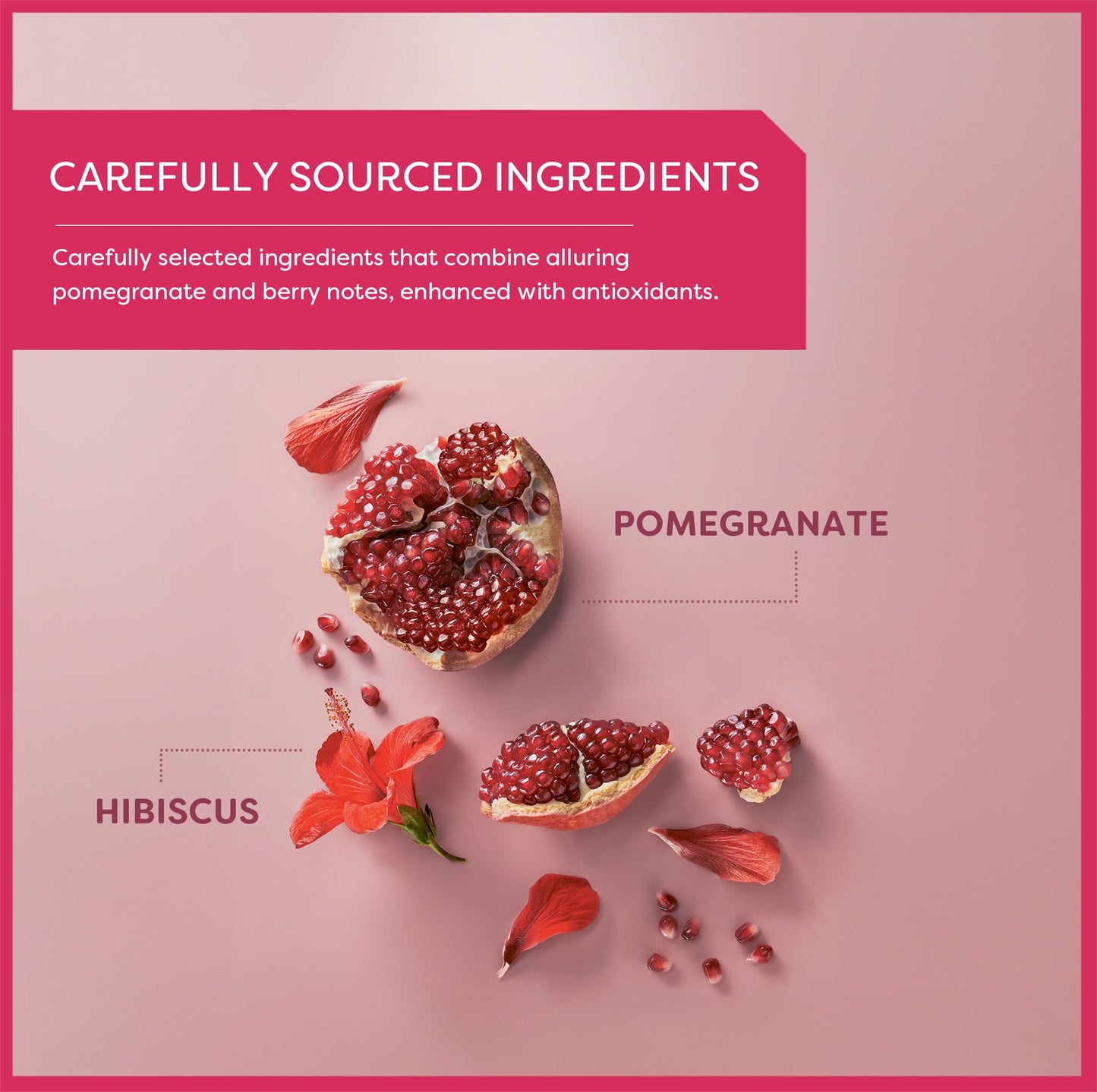 Wissotzky Pomegranate Herbal Tea 3 Pack 60 Tea Bags Antioxidant Rich Caffeine Free Tea