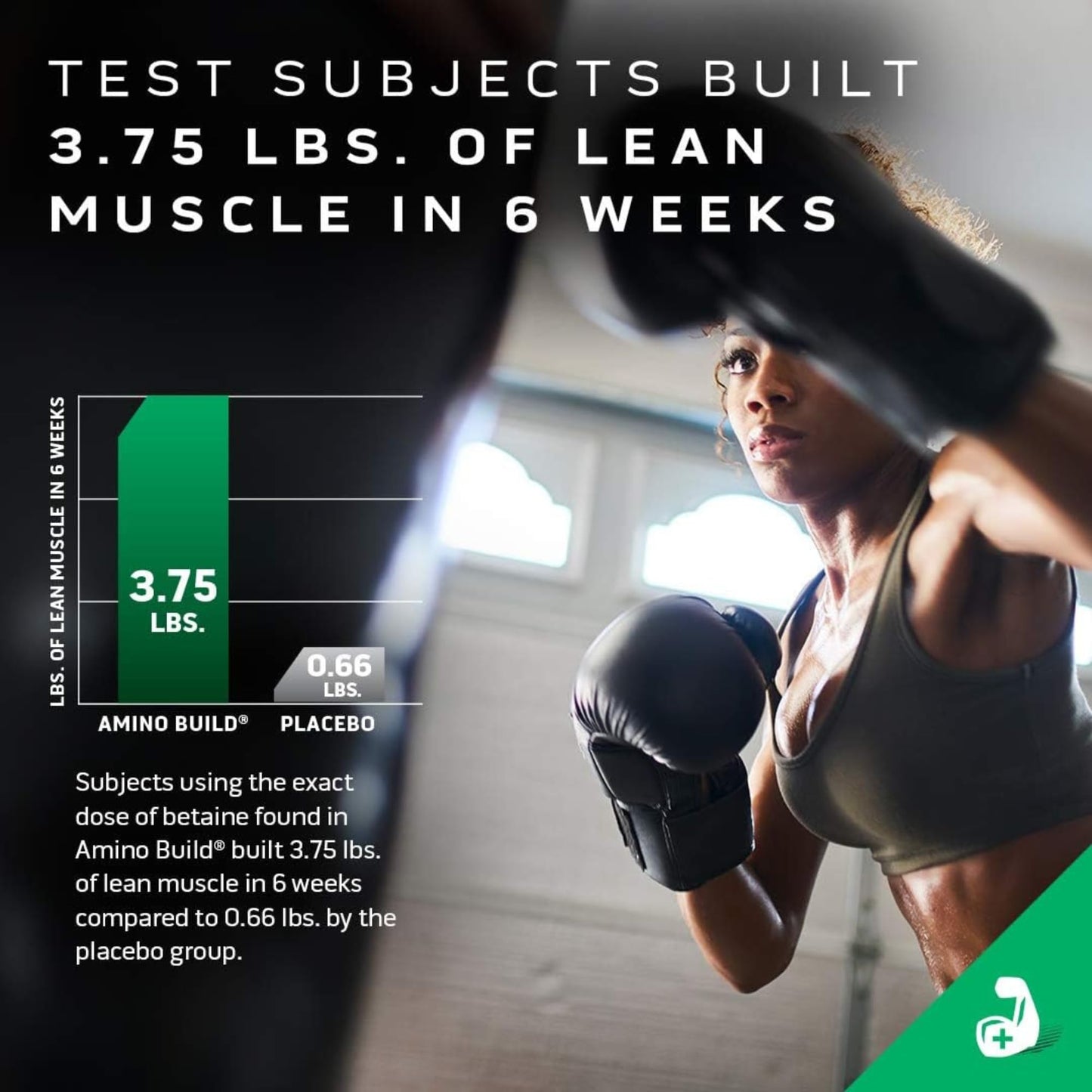 MuscleTech BCAA Powder for Men & Women, Strawberry Watermelon - Amino Acids Nutritional Supplement with Electrolytes for Energy, Muscle Gain & Recovery - Sugar-Free Gym Pre-Workout - 40 Servings