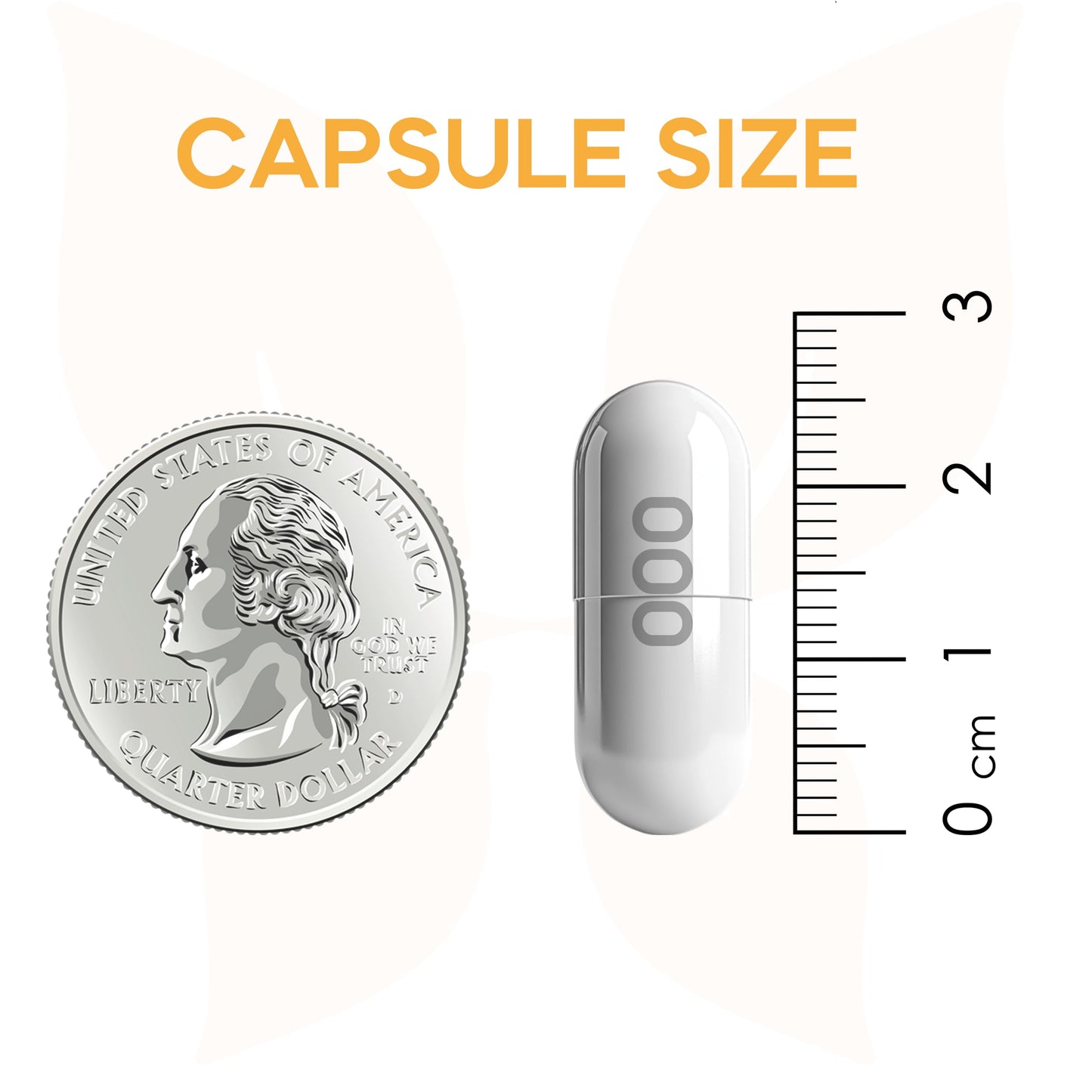 Forma Nutrition Advanced CN3RGY - 120 Capsules, 1000mg L-Leucine, 400mg L-Carnitine, 400mg Creatine HCl per Serving.
