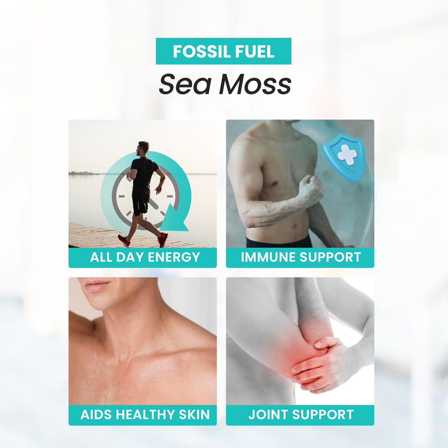Fossil Fuel- Organic Superfood for Energy, Digestive Health, Immune Support, and Inflammation Relief - Packed with Essential Nutrients and Minerals, Sea Moss (60 Capsules)