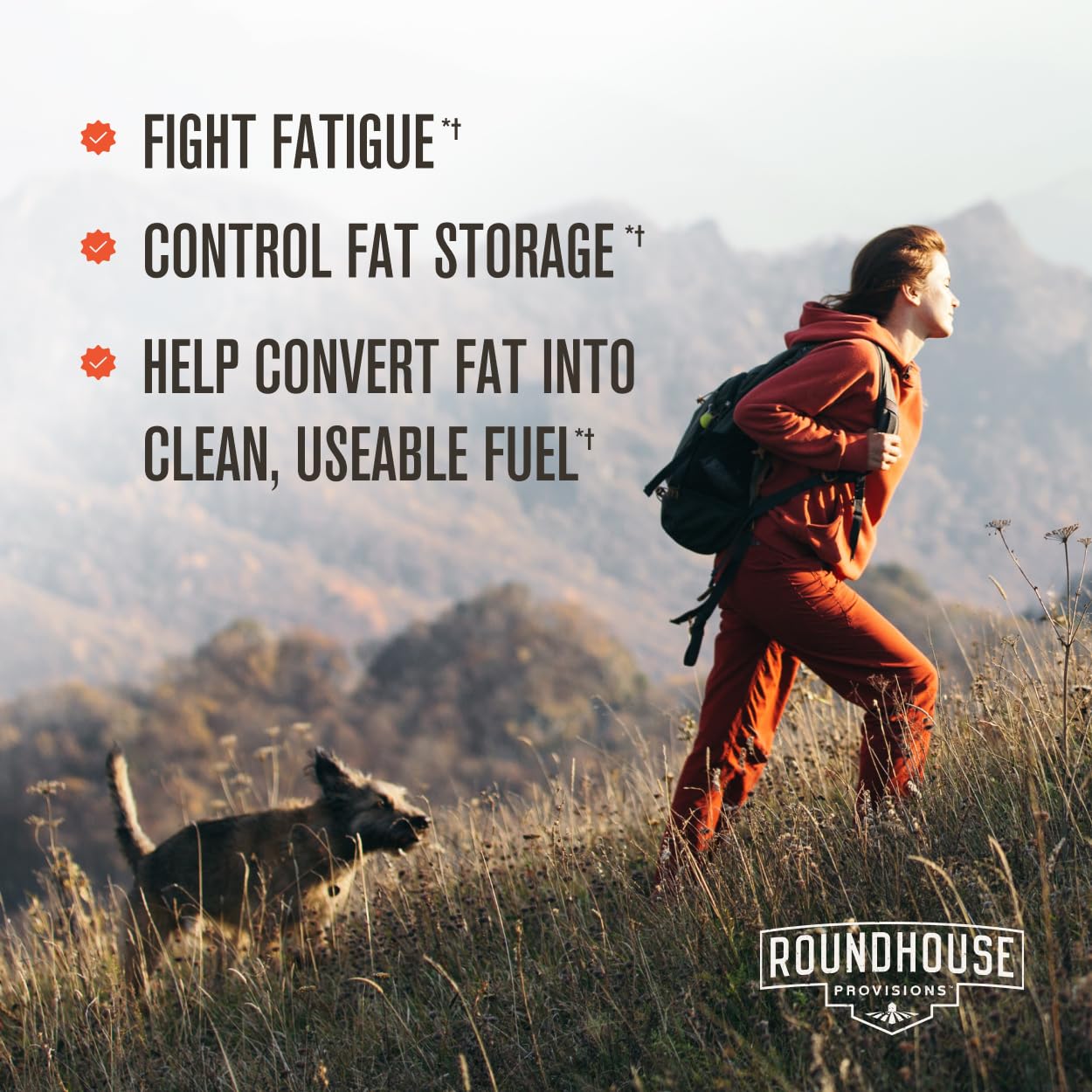 ROUNDHOUSE PROVISION Three Hit Combo - Burn Fat, Boost Energy, and Support Wellness with Berberine, Gynostemma, and Quercetin. 30-Day Supply (60 Capsules) Weight Management by Chuck Norris