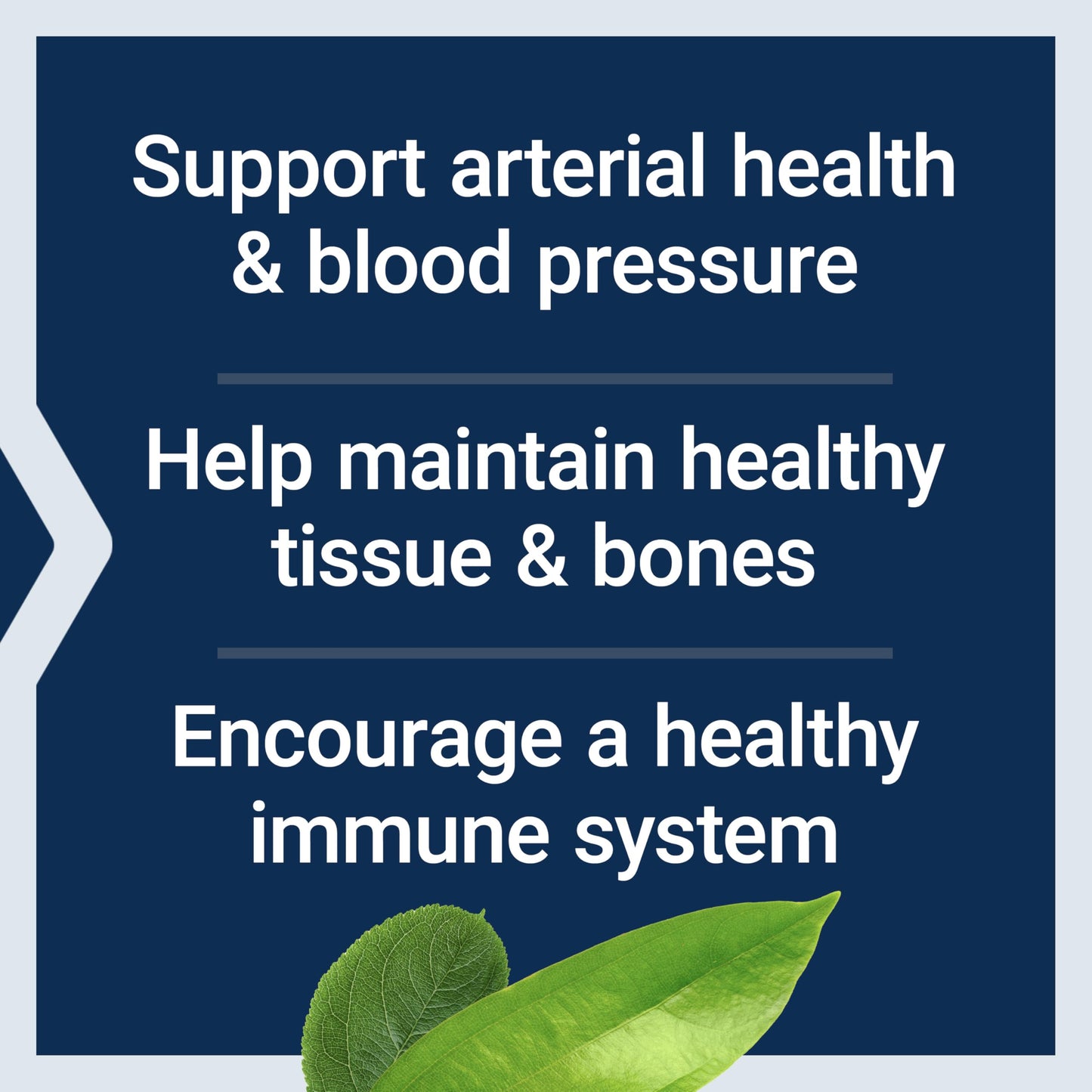 Life Extension L-Arginine Caps, 700 mg, Vitamin C & Amino Acid for Optimal arterial Health, Supports Heart & Immune Health, Healthy Tissue & Bones, Gluten Free, Non-GMO, 200 Capsules