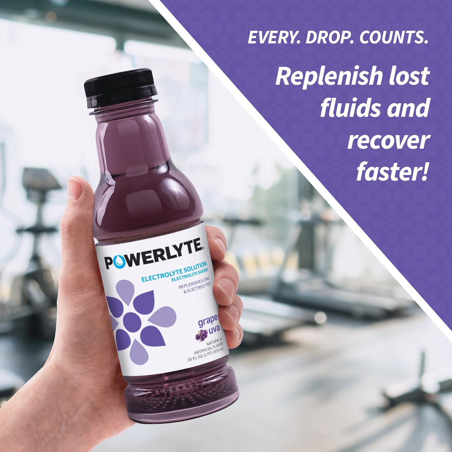 POWERLYTE Sport Hydration Electrolyte Solution Drink for Rehydration | Grape | 16 Fl Oz | 12-Pack
