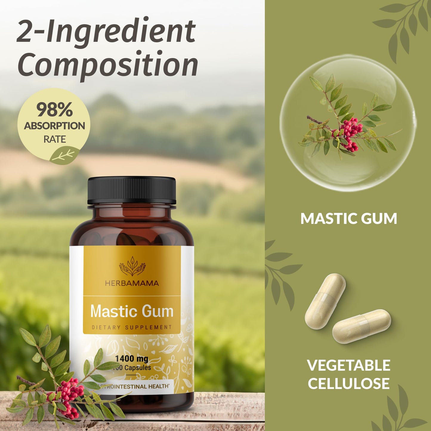 HERBAMAMA Mastic Gum Capsules - 1400mg Pure Mastic Gum Powder for Gut & Digestive Cleanse Detox - Vegan, Non-GMO Digestive Support Supplement, 100 Caps
