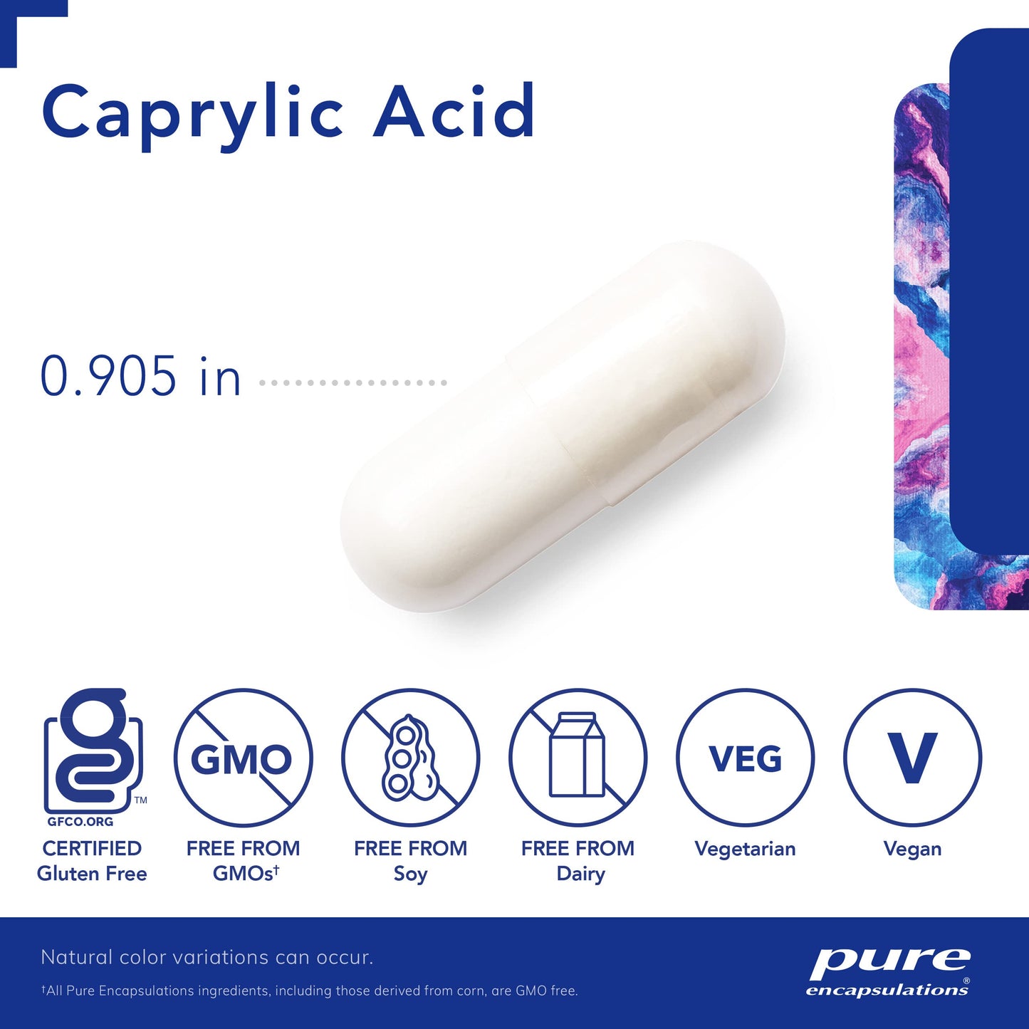 Pure Encapsulations Caprylic Acid | Supplement for Gut and Digestive Health, GI Balance, Gastrointestinal Support, and Intestinal Health* | 240 Capsules