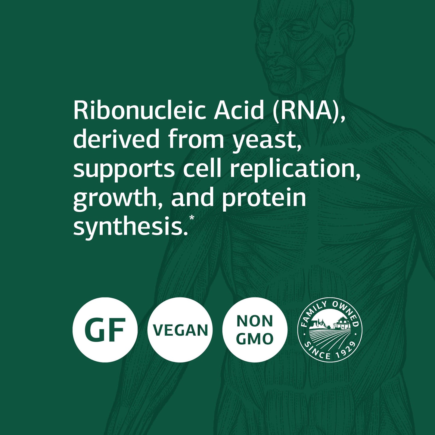 Standard Process Inc. Ribonucleic Acid (RNA) - RNA Supplement with Calcium, and Magnesium Citrate - Vegetarian, Gluten Free - 90 Tablets