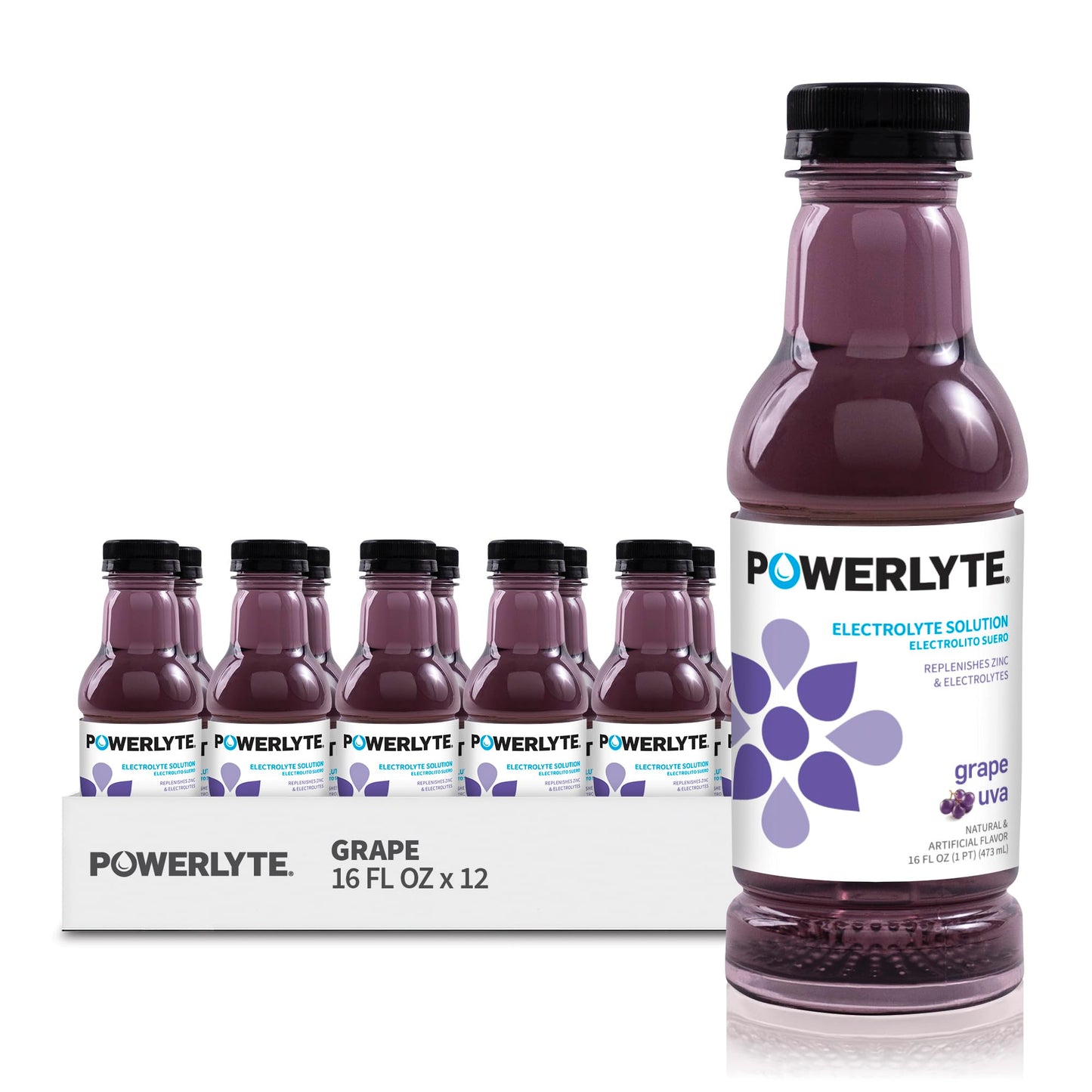 POWERLYTE Sport Hydration Electrolyte Solution Drink for Rehydration | Grape | 16 Fl Oz | 12-Pack