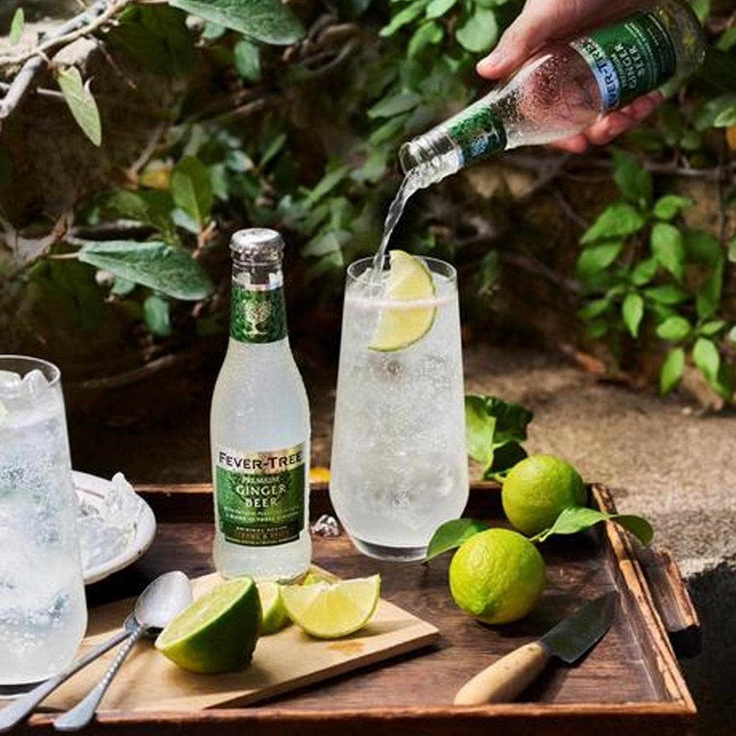 Fever Tree Premium Ginger Ale Premium Quality Mixer and Soda Refreshing Beverage for Cocktails Mocktails 200ml Bottle Pack of 15