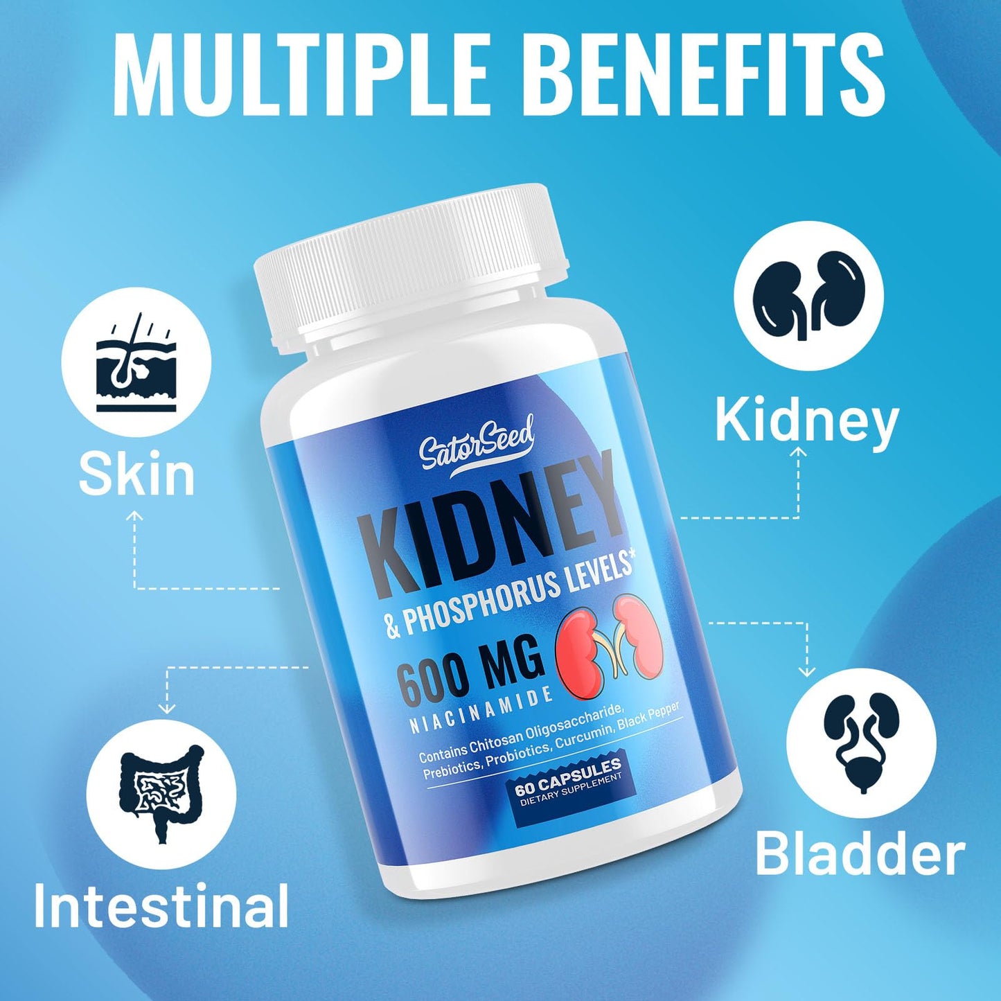 Kidney Support Supplement - Kidney Cleanse Detox & Repair with Chitosan Oligosaccharide, Niacinamide 600mg, Curcumin, Black Pepper, Prebiotics & Probiotics - Kidney & Phosphorus Levels - 60 Capsules