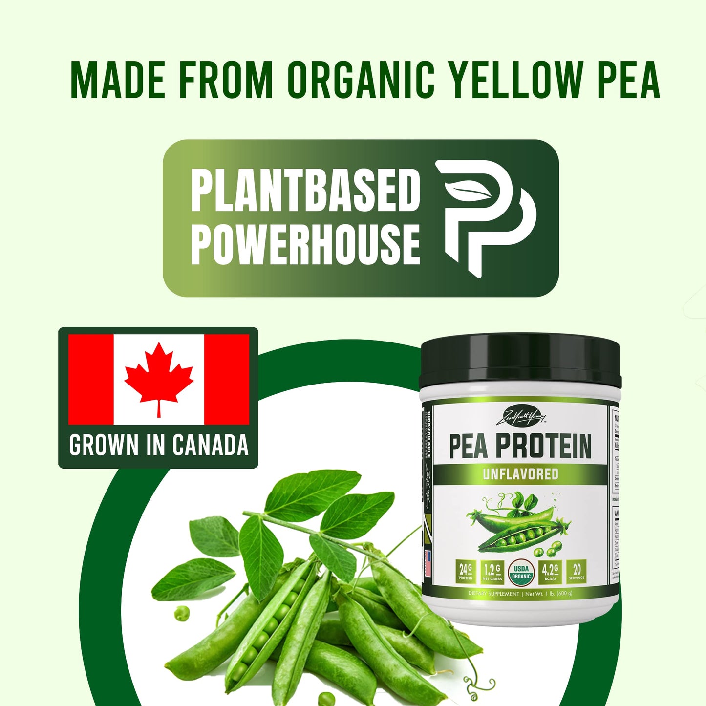 zyy Pure Organic Hydrolyzed Vegan Pea Protein Powder - Easy to Digest, Unsweetened, Natural Unflavored, Dairy Free, Gluten Free, Soy Free, Sugar Free, Non-GMO with BCAA