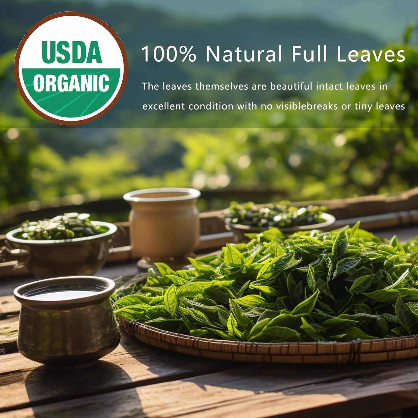 Detox Cleanse Tea Natural Herbal Tea Bags Oolong Leaf for Lung Cleanse Congestion Relief Herbal Detox Caffeine-Free Non-GMO Organic for Gut Health Immune Boost
