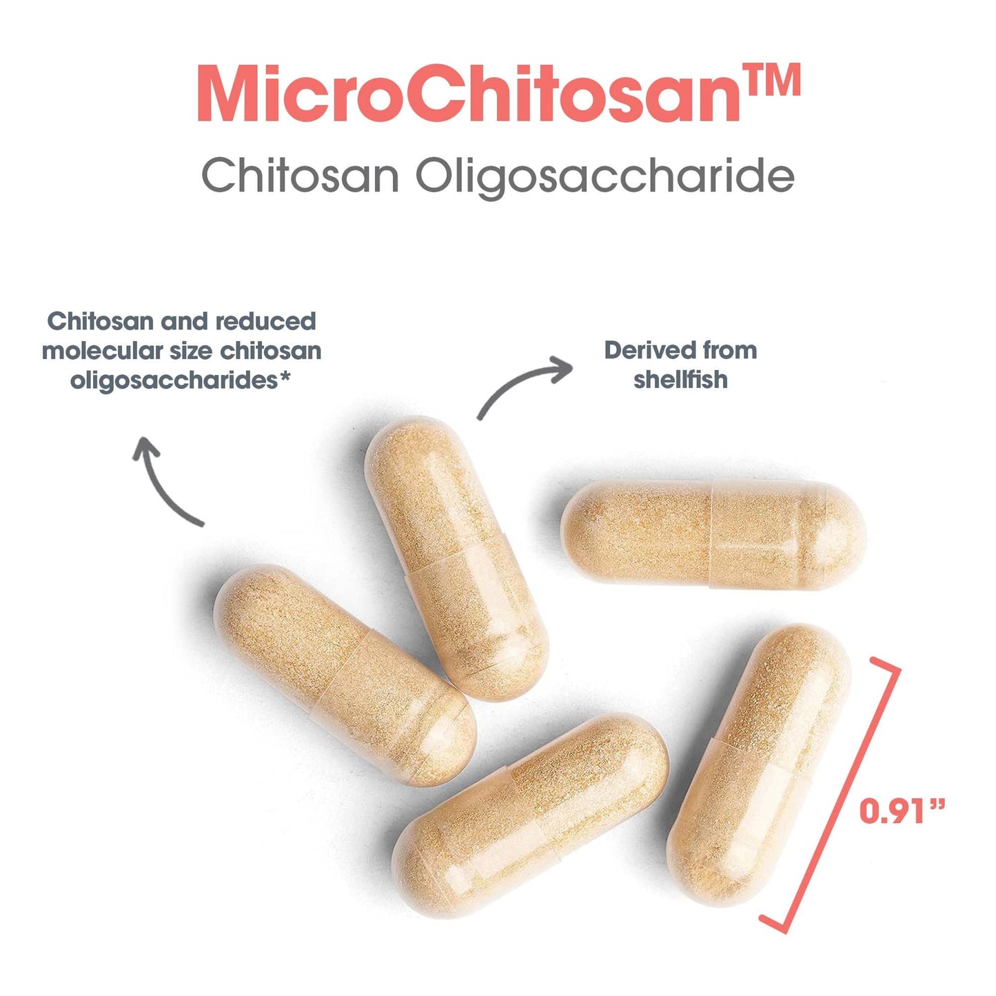 Allergy Research Group MicroChitosan Supplement - Chitosan, Chitosan Oligosaccharide, Cleansing Support Binder, Enhanced Detoxification, 1800mg Vegetarian Pills - 60 Count