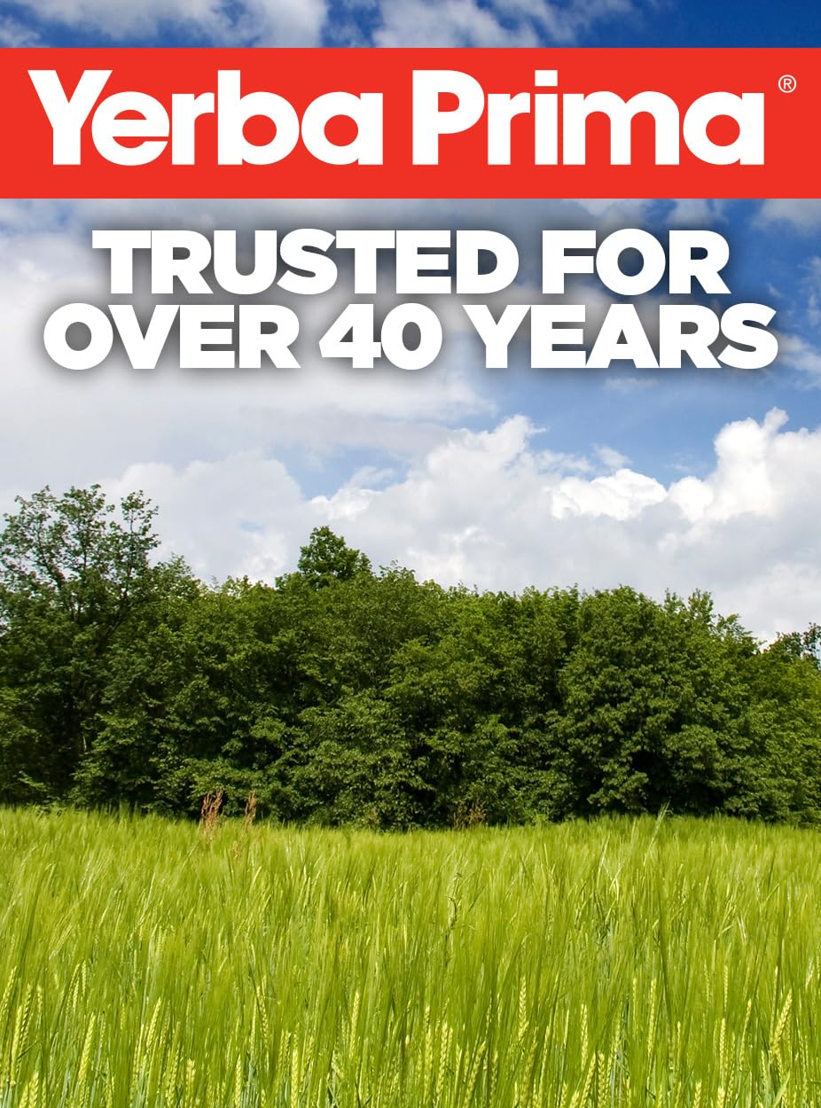 Yerba Prima Fiber Plus Senna Capsules, 180 Count - Gentle Overnight Relief, USA Made, Non-GMO, Gluten-Free