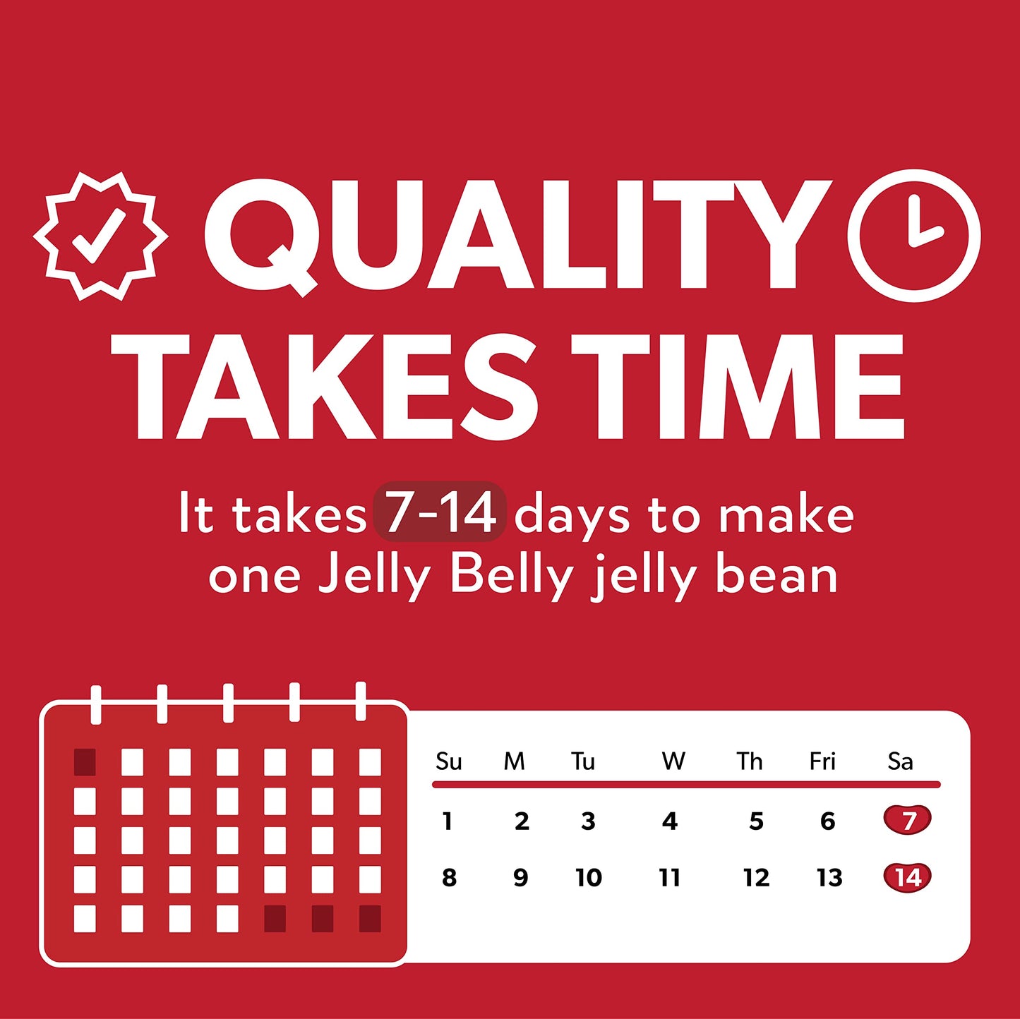 Jelly Belly Licorice Jelly Beans 1 Pound 16 Ounces Resealable Bag Genuine Official Straight from the Source