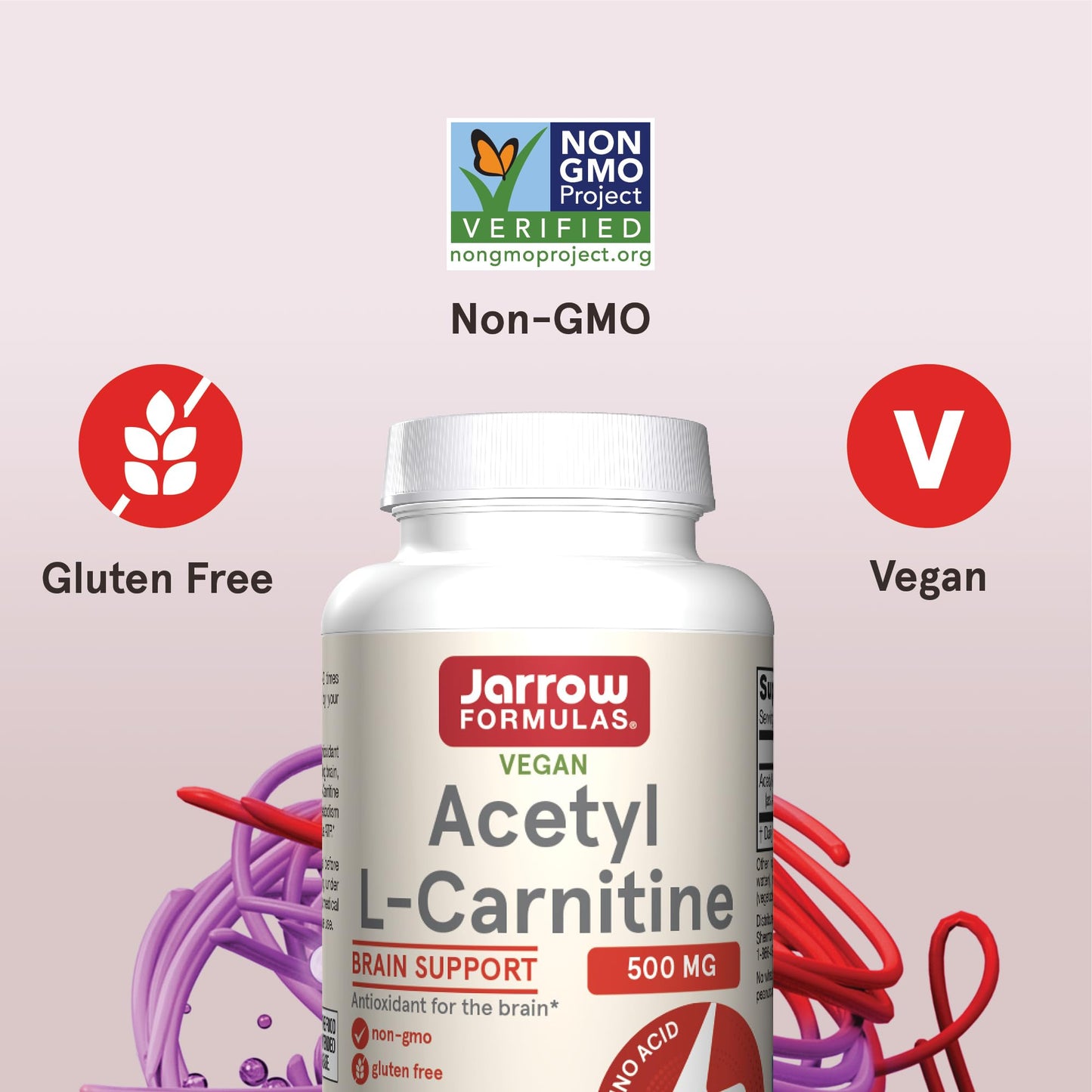 Jarrow Formulas Acetyl L-Carnitine 500 mg, Dietary Supplement, Amino Acid Support for Brain Health and Antioxidants, 60 Veggie Capsules, 60 Day Supply(Pack of 12)
