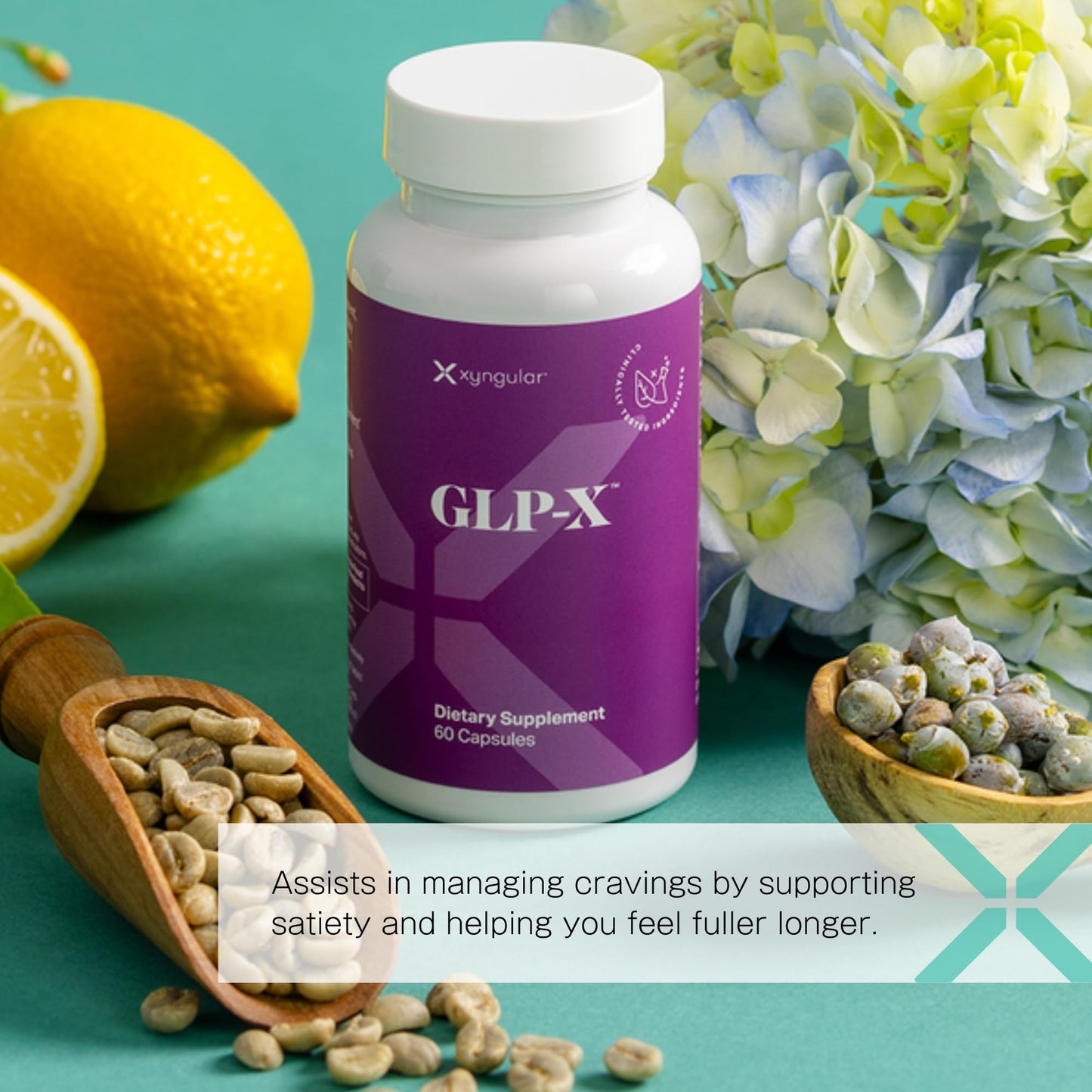 Xyngular GLPX | Supports Healthy Metabolism & Satiety | 30 Servings of Plant-Based Fiber Blend with Botanical Extracts for Balanced Wellness | Convenient Daily Supplement