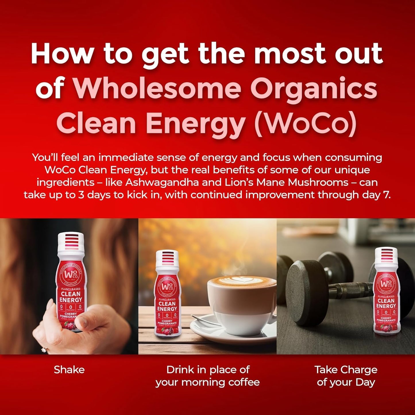 Wholesome Organics - Sugar Free Energy Shots Extra Strength Natural & Healthy Energy Drinks - Plant-Based Energy Supplements w/Vitamin B12 Lion's Mane & Yerba Mate - Cherry Pomegranate Flavor 48 Pack