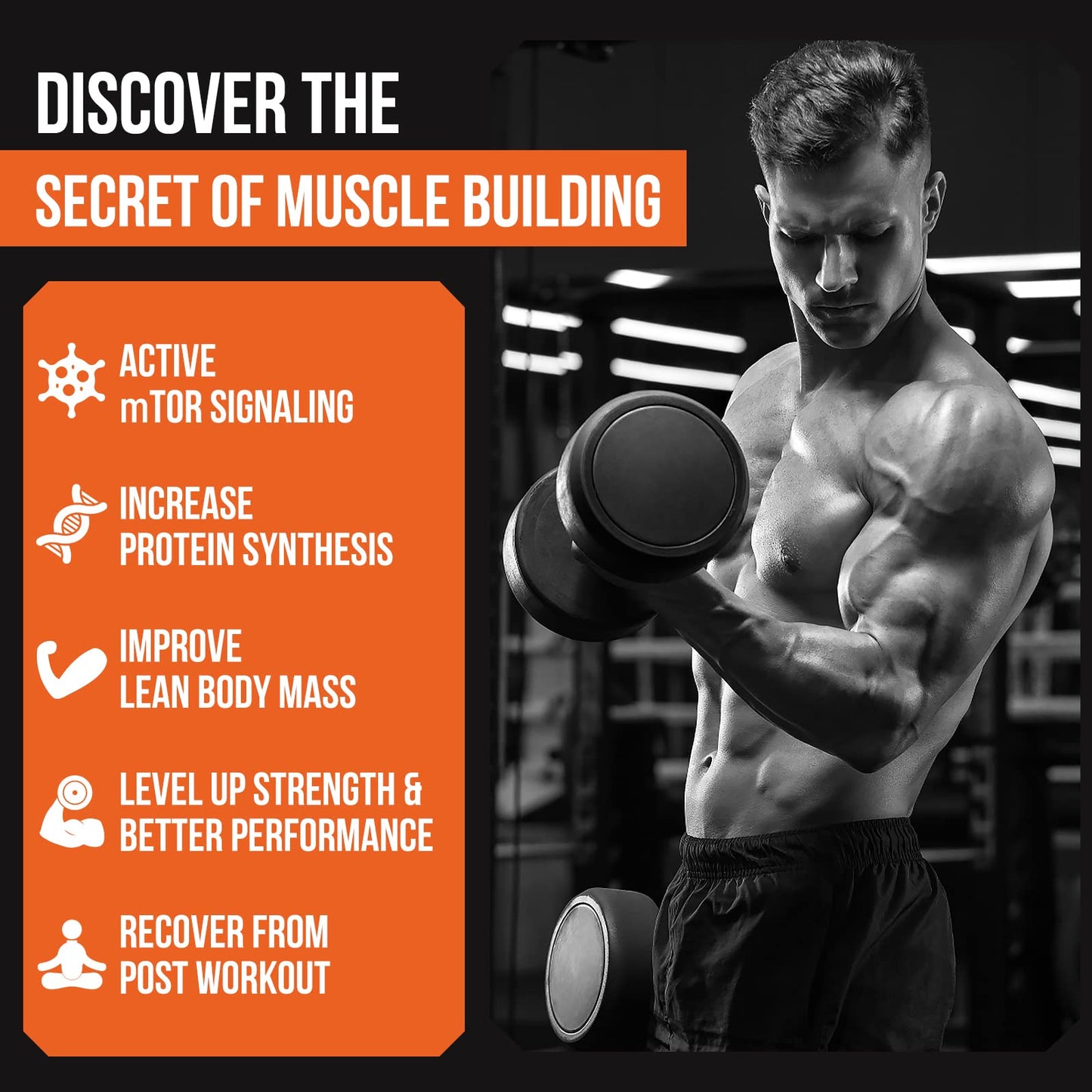 2000mg Liposomal Phosphatidic Acid (PA) | Muscle Builder, High Absorption Muscle Building Supplements for Men & Women | Muscle Gainer, mTOR Protein Synthesis & Lean Body Mass, Strength,120 Capsules