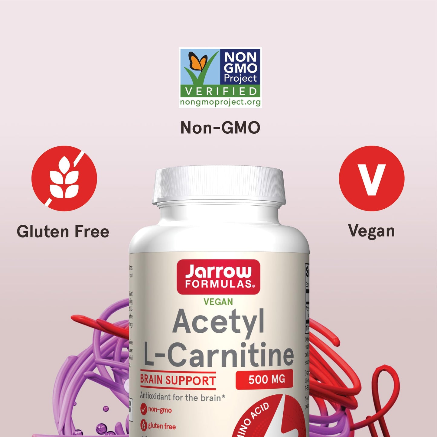 Jarrow Formulas® Acetyl L-Carnitine 500 mg, Dietary Supplement, Amino Acid Support for Brain Health and Antioxidants, 120 Veggie Capsules, 120 Day Supply