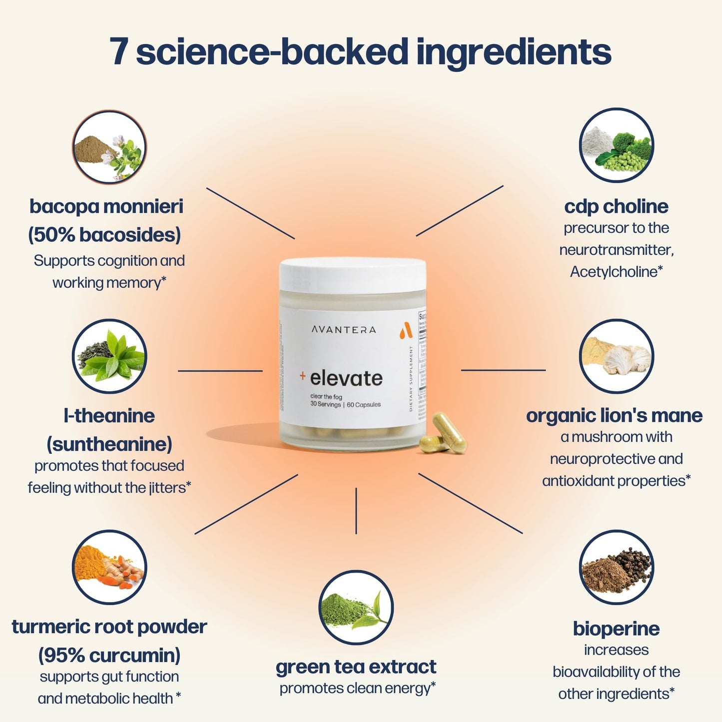 Avantera Elevate Premium Nootropic Supplement - Beat Brain Fog - Best Focus Supplements for Memory & Focus Support - Energy Without Crash - 60 Count Pills for Women & Men