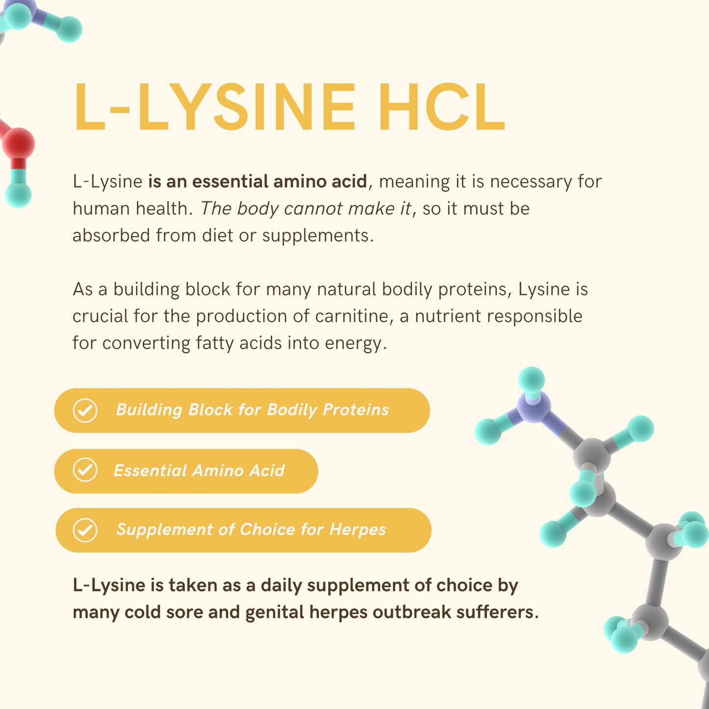 Herstat L-Lysine 1500mg | High Potency Essential Amino Acid, Vegetable Capsules, 120ct