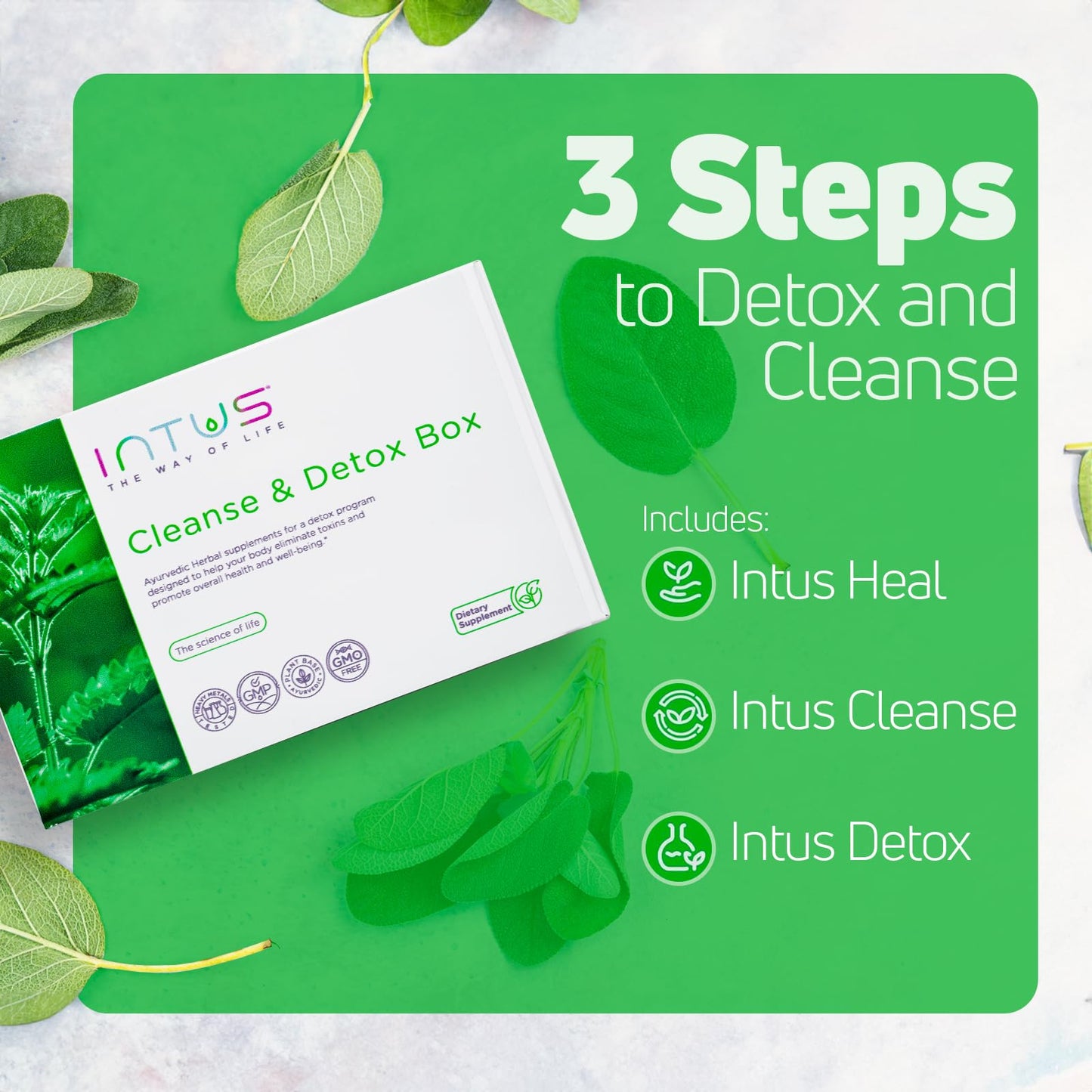 Intus Clean and Detox Box - Ayurvedic Detox Program to Promote Gut and Colon Cleanse, and Support Digestion and a Healthy Microbiome - Digestive Health Dietary Supplement for Overall Well-Being