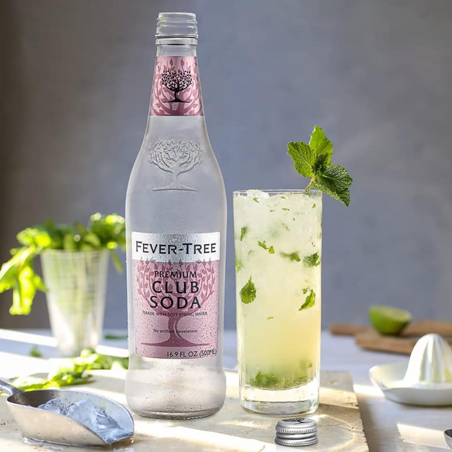 Fever Tree Premium Club Soda Premium Quality Mixer Soda Refreshing Beverage for Cocktails Mocktails 200ml Cans Pack of 5