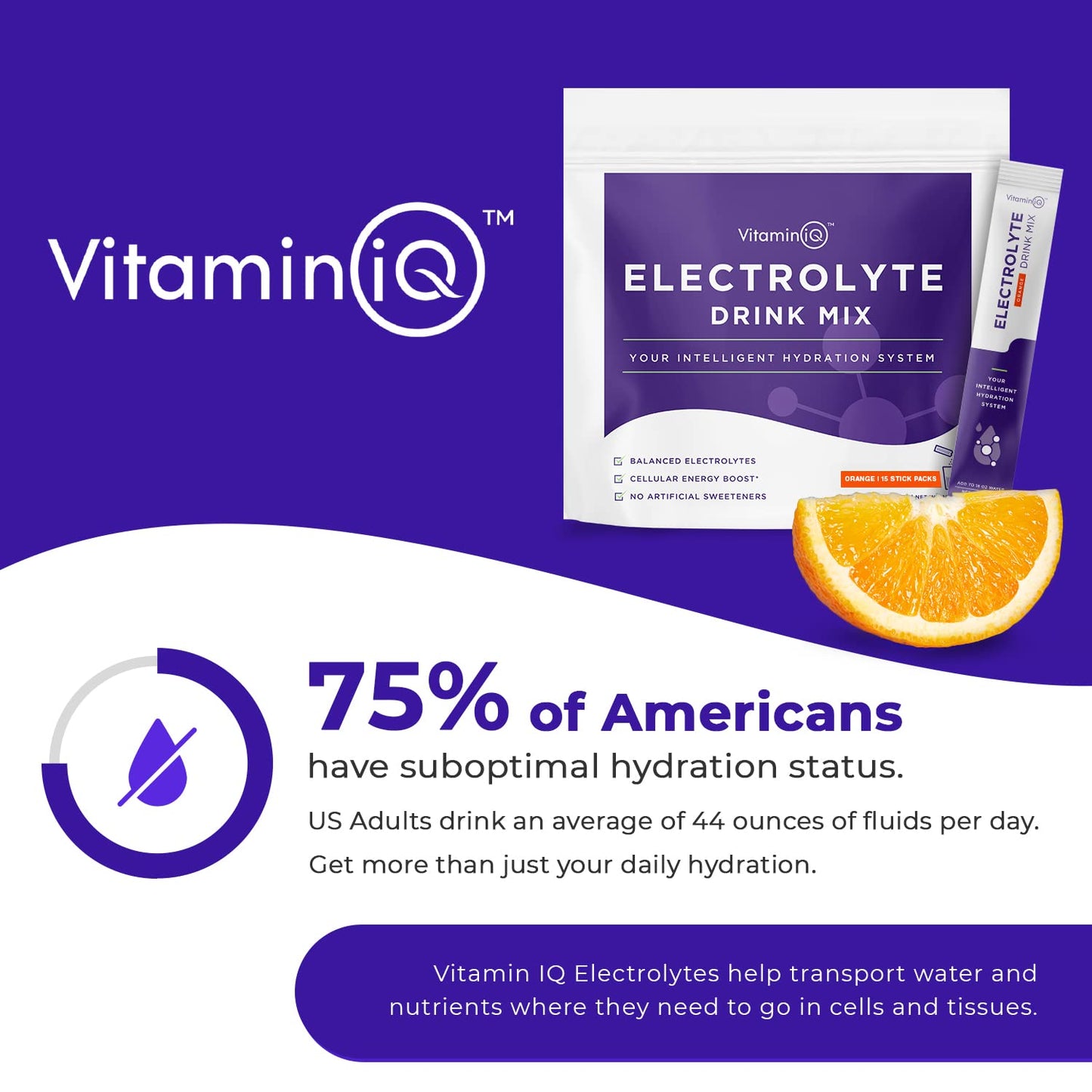 VitaminIQ Electrolytes Powder - 15 Sticks Electrolyte Powder Packets for Energy & Endurance - IV Hydration Multiplier Electrolyte Mix for Mental Clarity & Fluid Balance - IV Hydration Packets, Orange