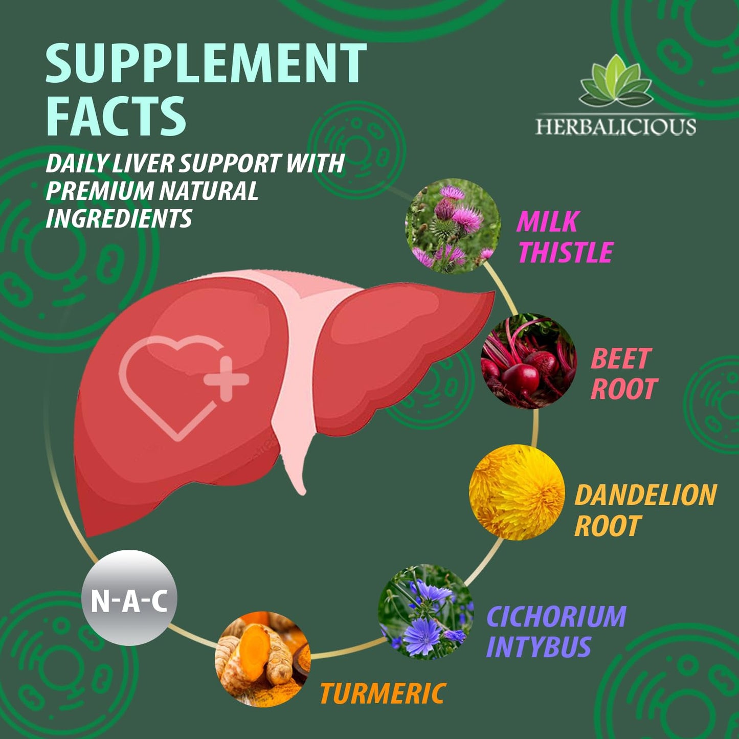 Liver Support NAC 360 Defence - Liquid Formula with NAC, Milk Thistle, Dandelion Root, Chicory, Turmeric, Chanca Piedra, Beet Root, and Zinc - Promotes Liver Detox and Cellular Health - 4 fl oz